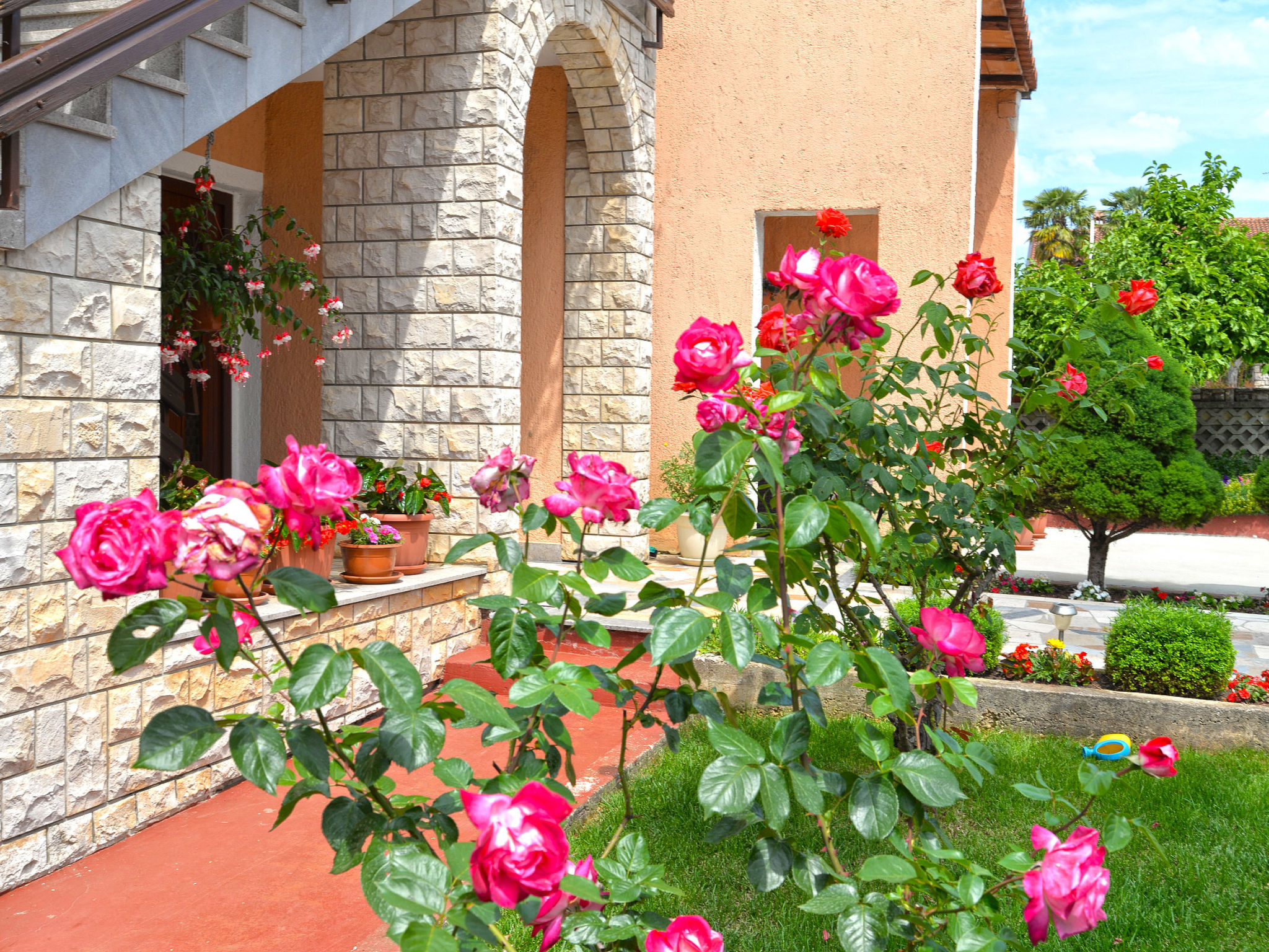 Photo of Apartment 167