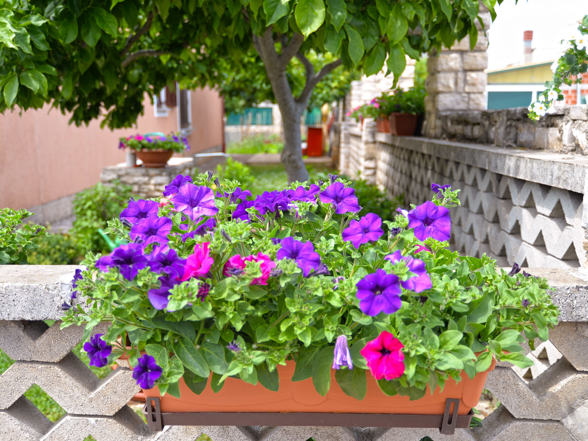 Photo of Apartment 167