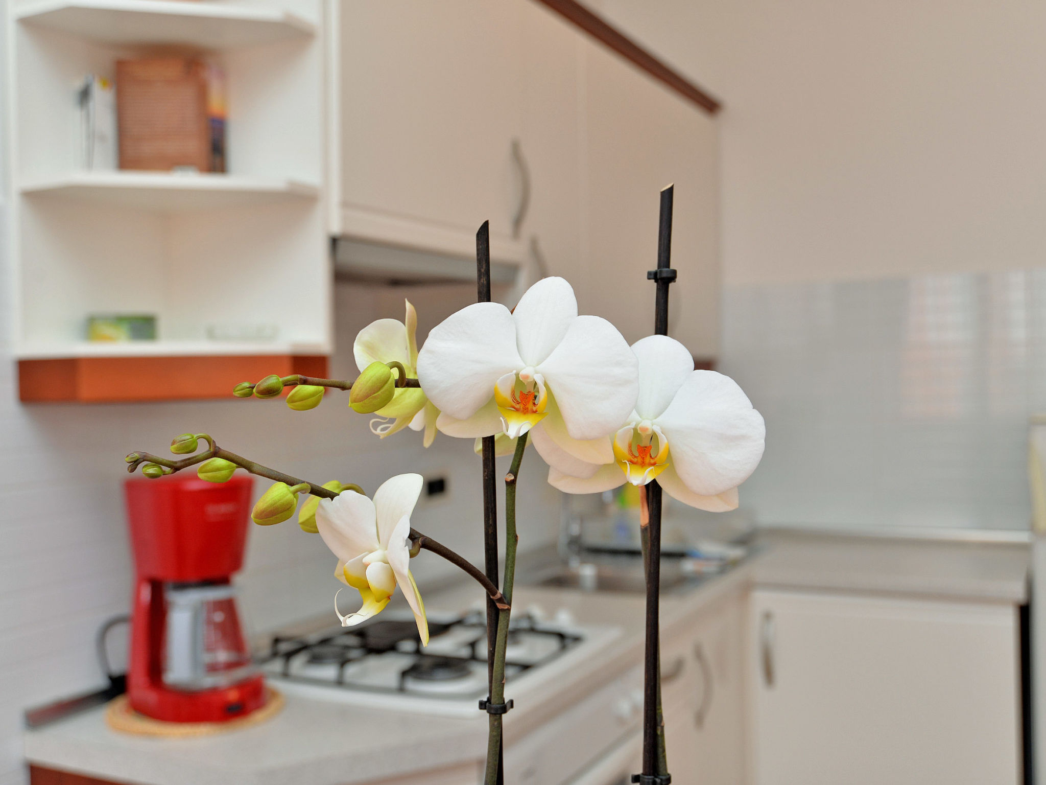 Photo of Apartment 1553