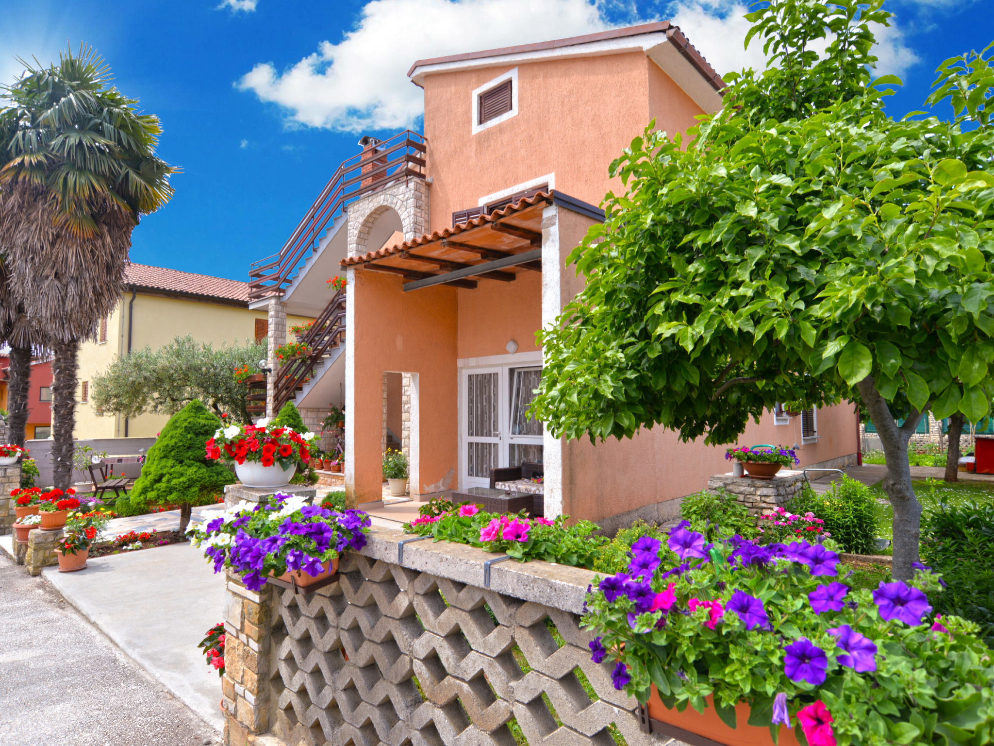 Apartment 167 Apartment in Novigrad