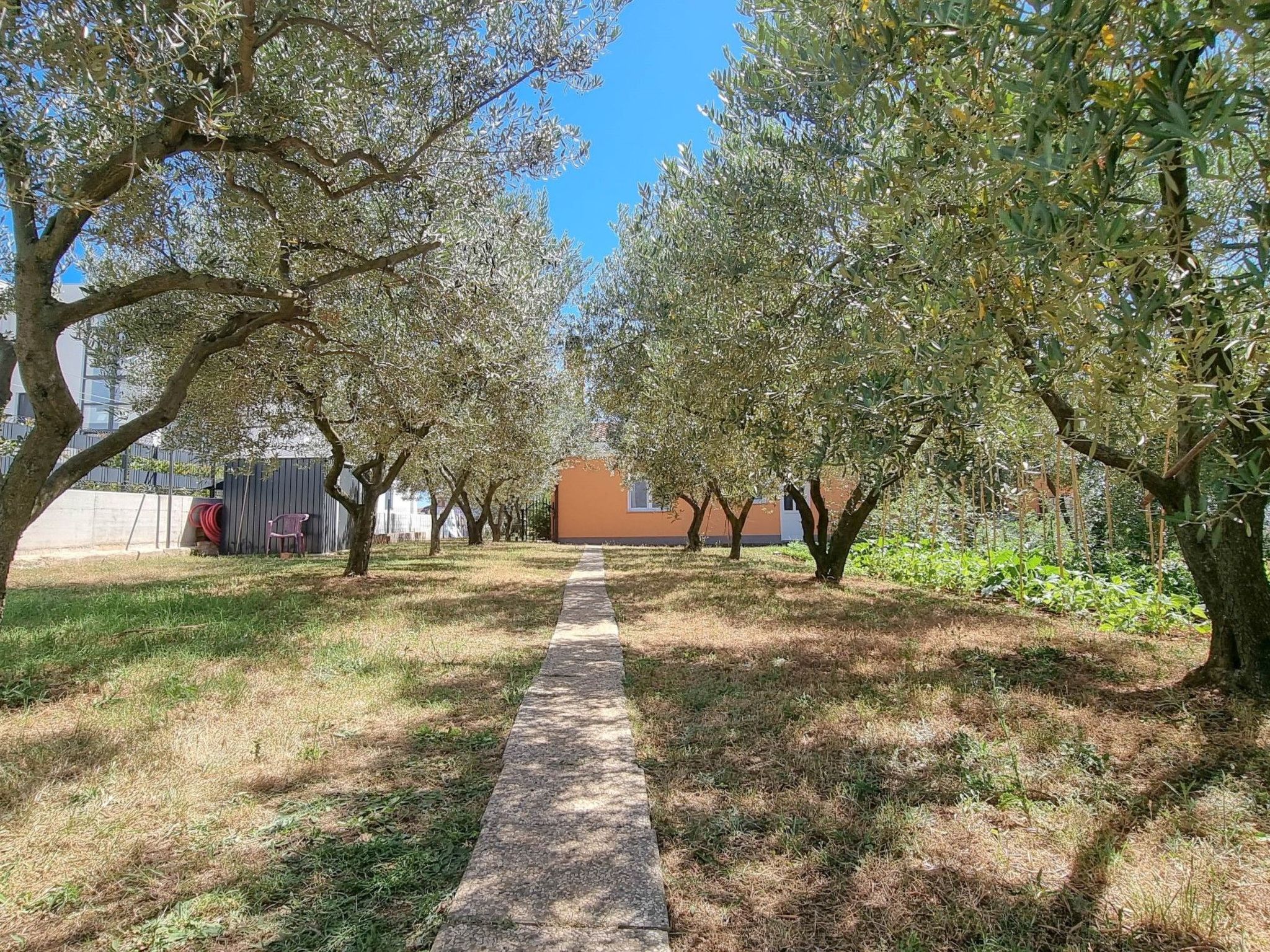Photo of Wohnung "Barbara" mit Terrasse