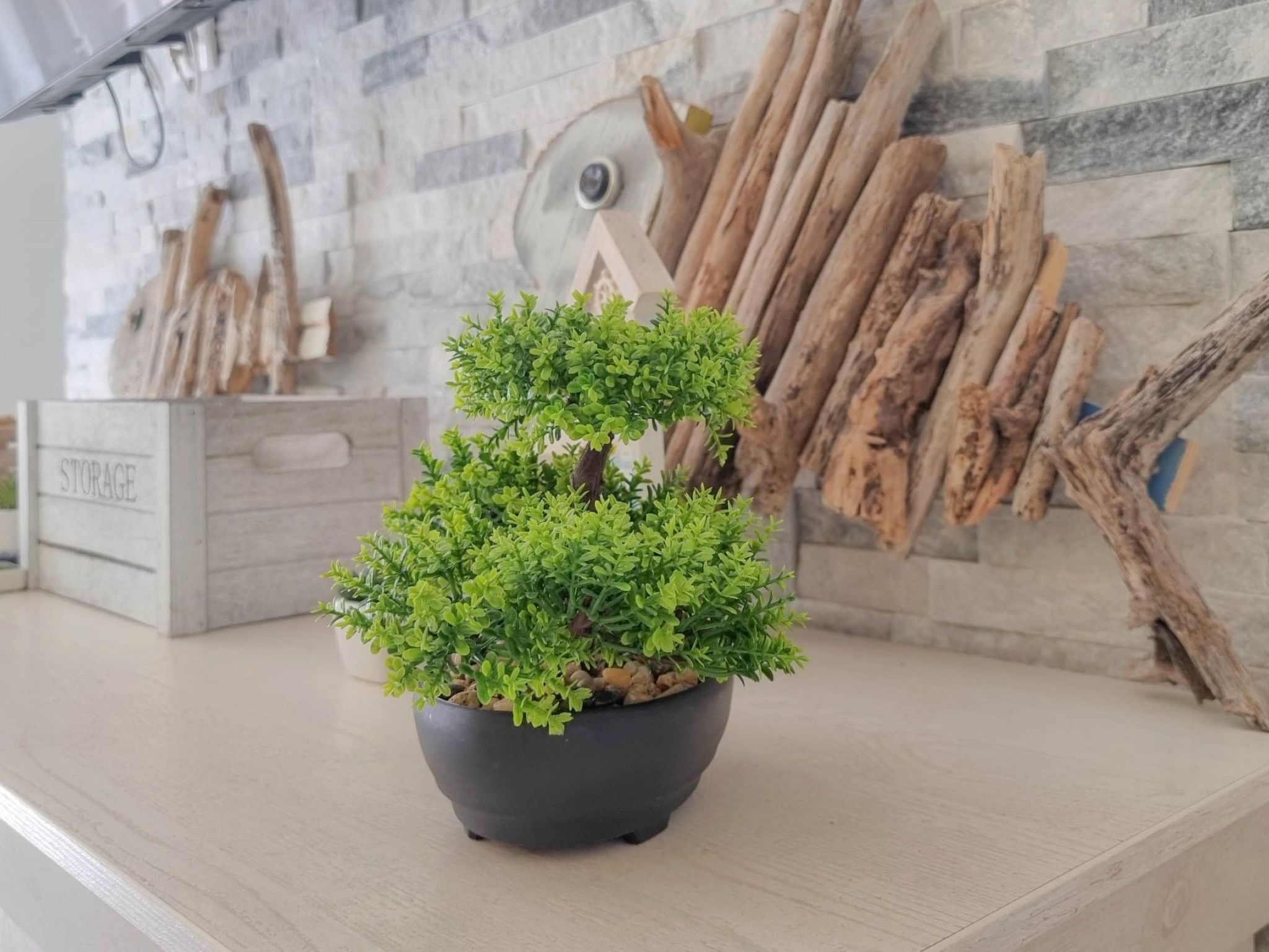 Photo of für 4 Personen ca. 40 m&sup2; in Novigrad, Adriaküste Kroatien (Westküste von I