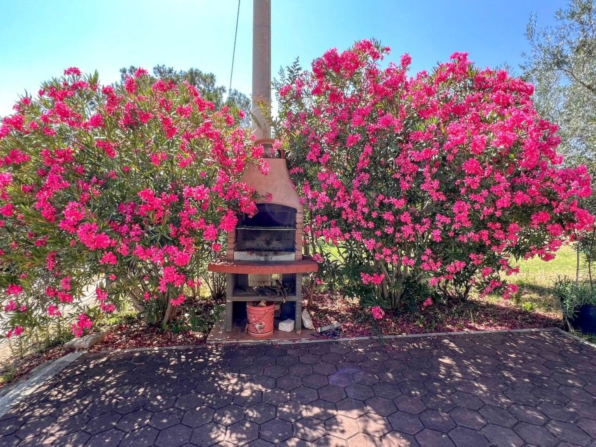 Photo of "Viola" mit Terrasse