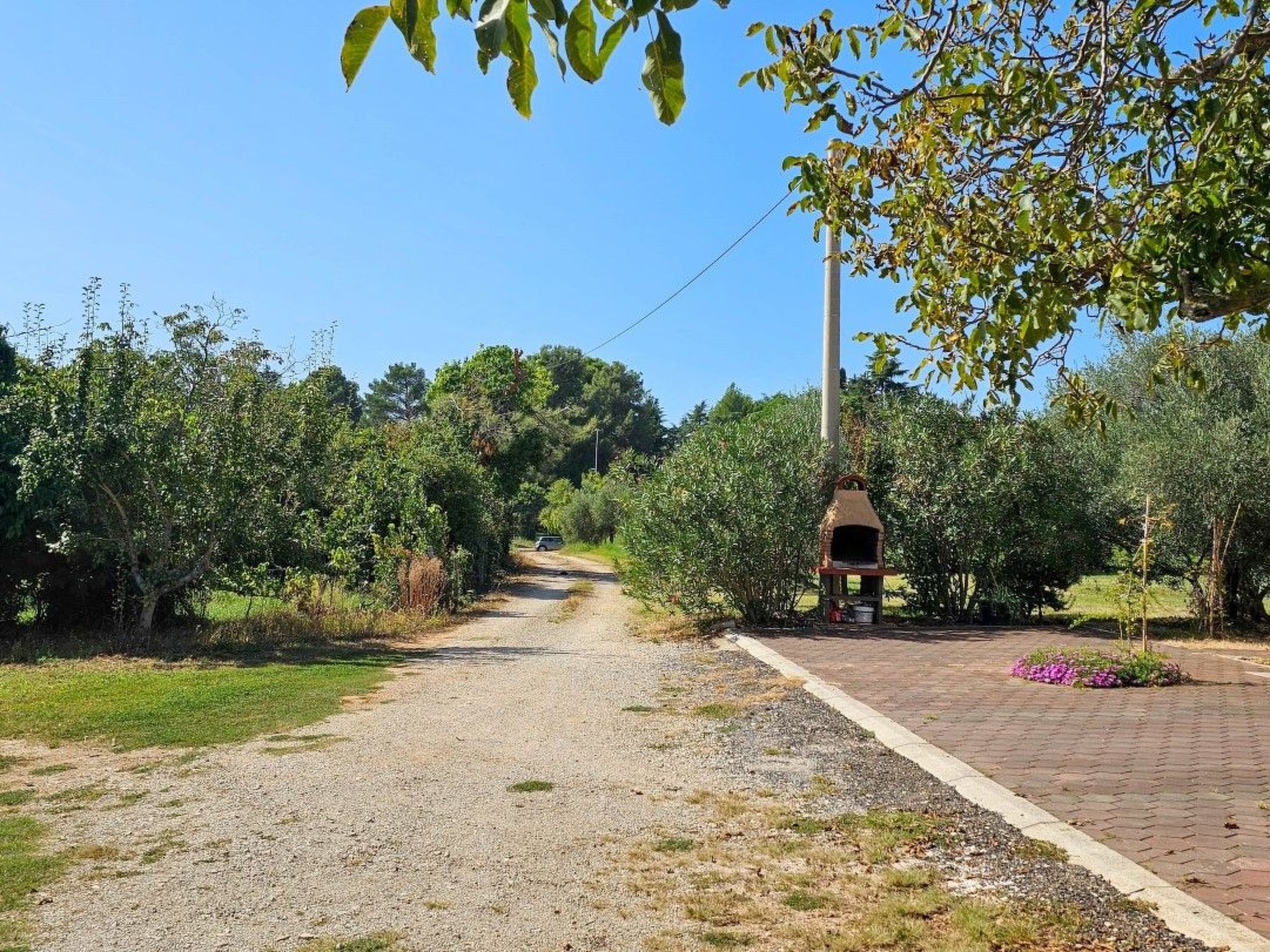 Photo of "Viola" mit Terrasse
