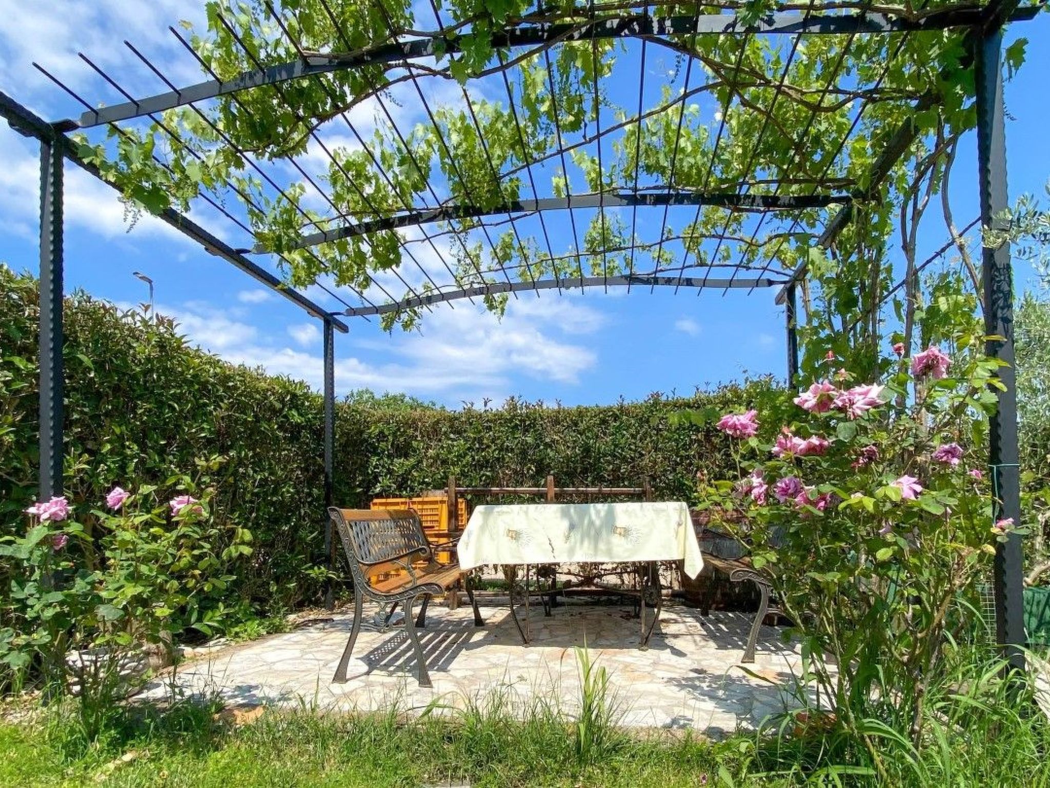 Photo of für 2 Personen ca. 30 m&sup2; in Novigrad, Adriaküste Kroatien (Westküste von I