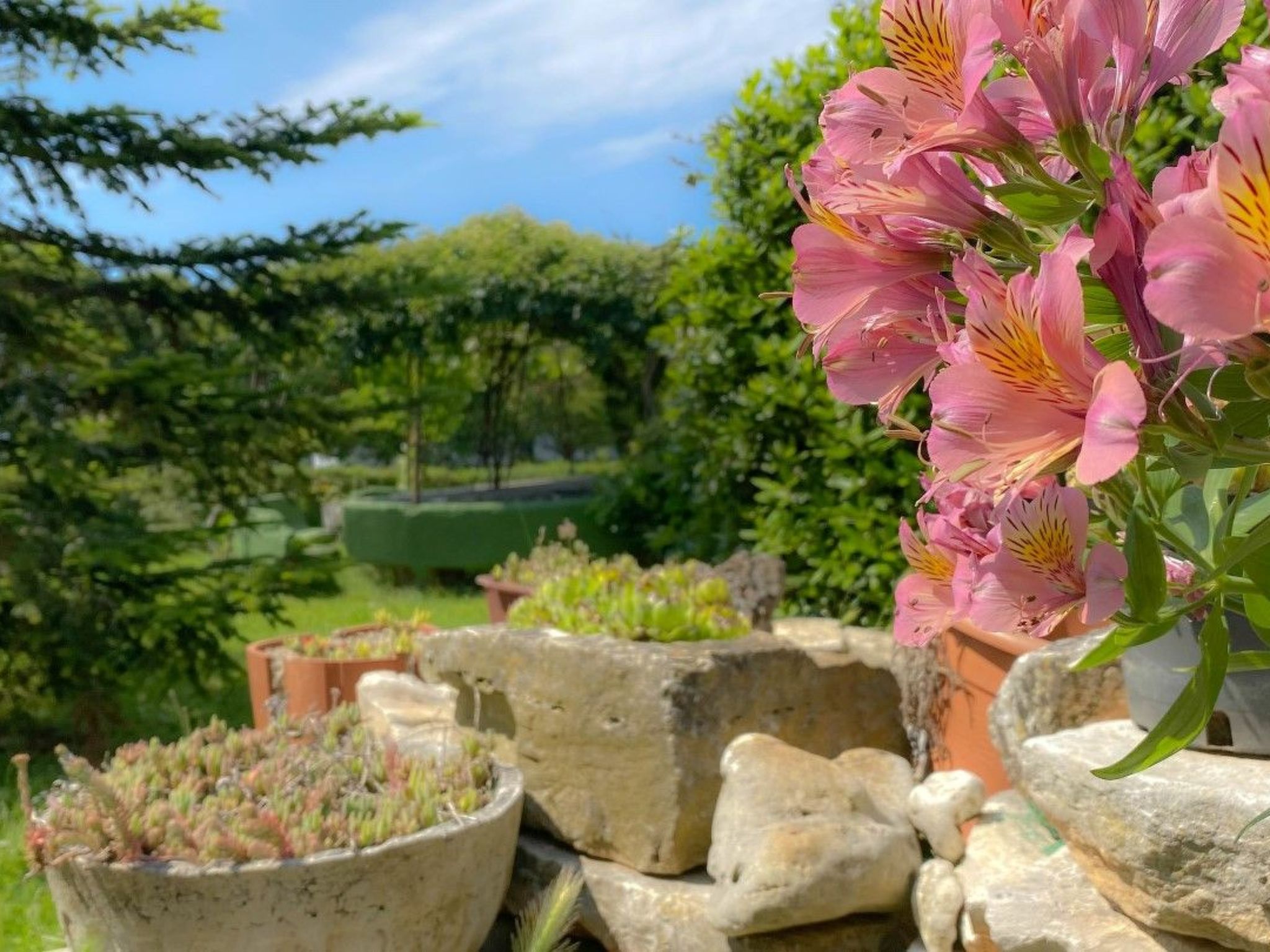 Photo of für 2 Personen ca. 30 m&sup2; in Novigrad, Adriaküste Kroatien (Westküste von I