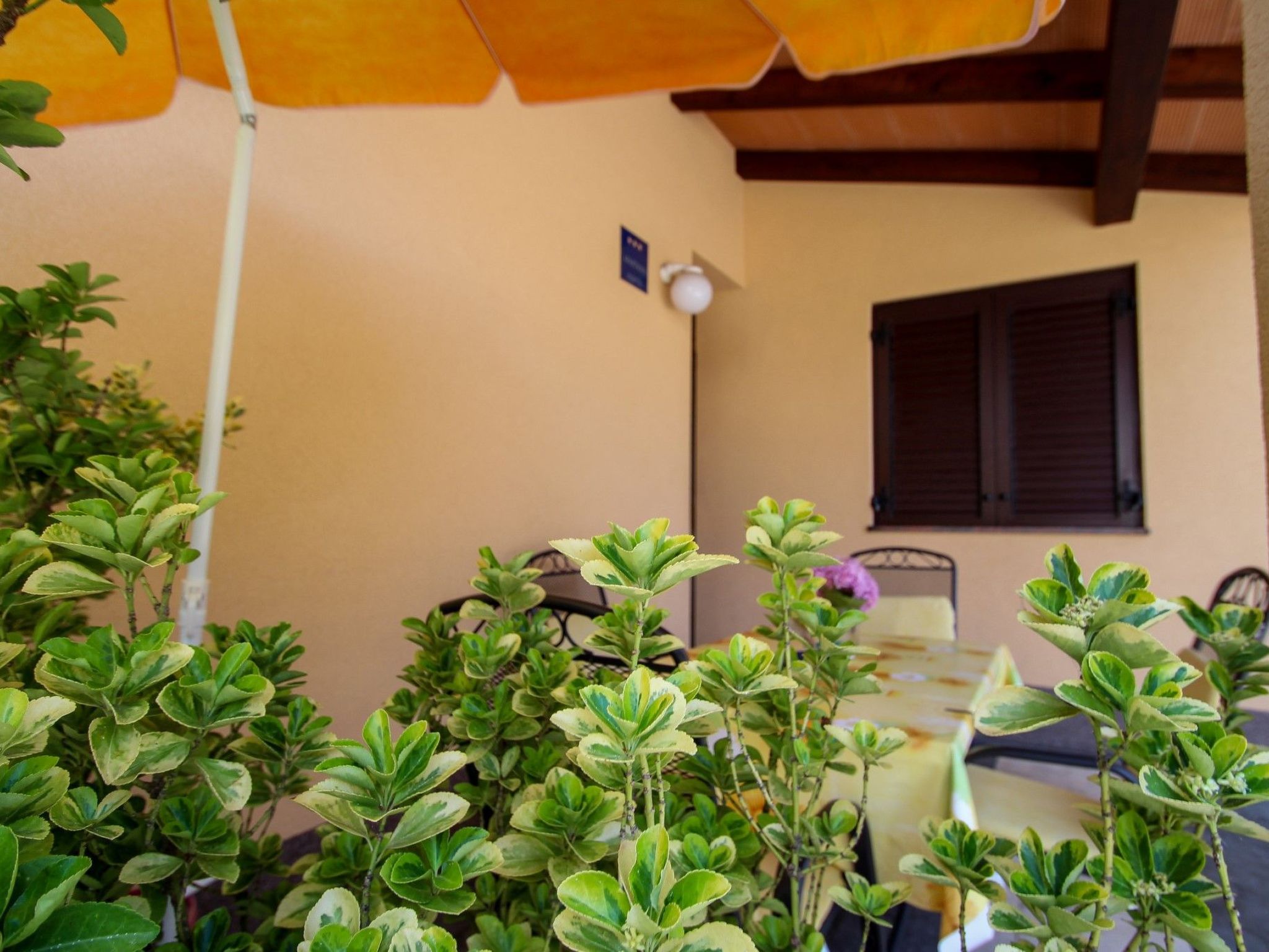 Photo of Erdgeschoss-Ferienwohnung Martinis 2