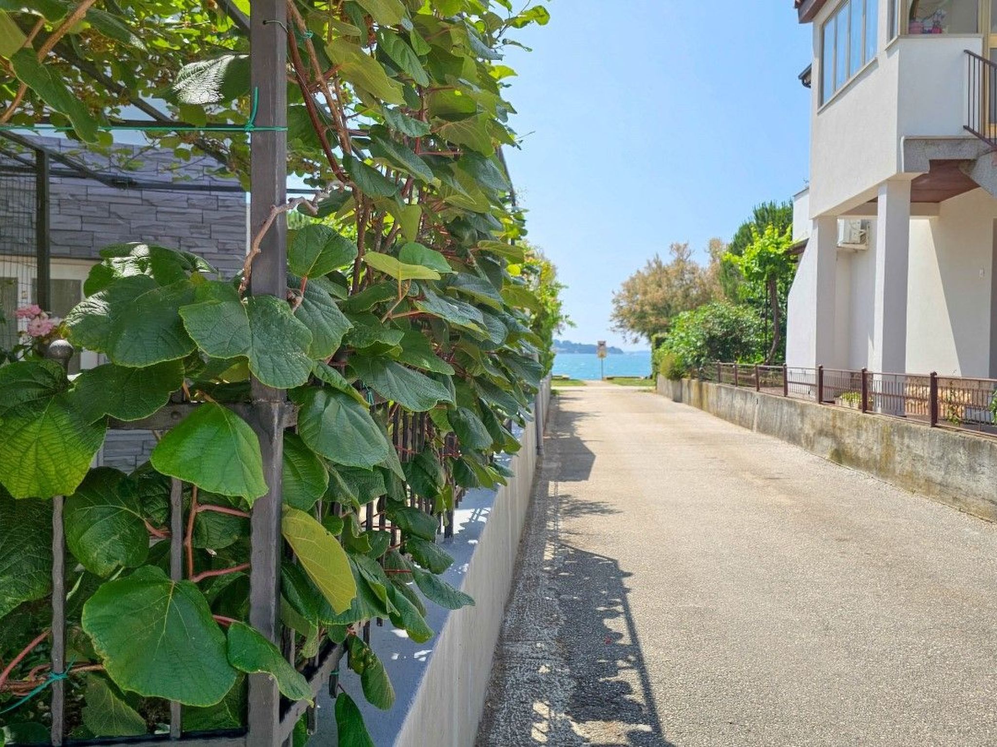 Photo of "Pintar 2" direkt am Strand