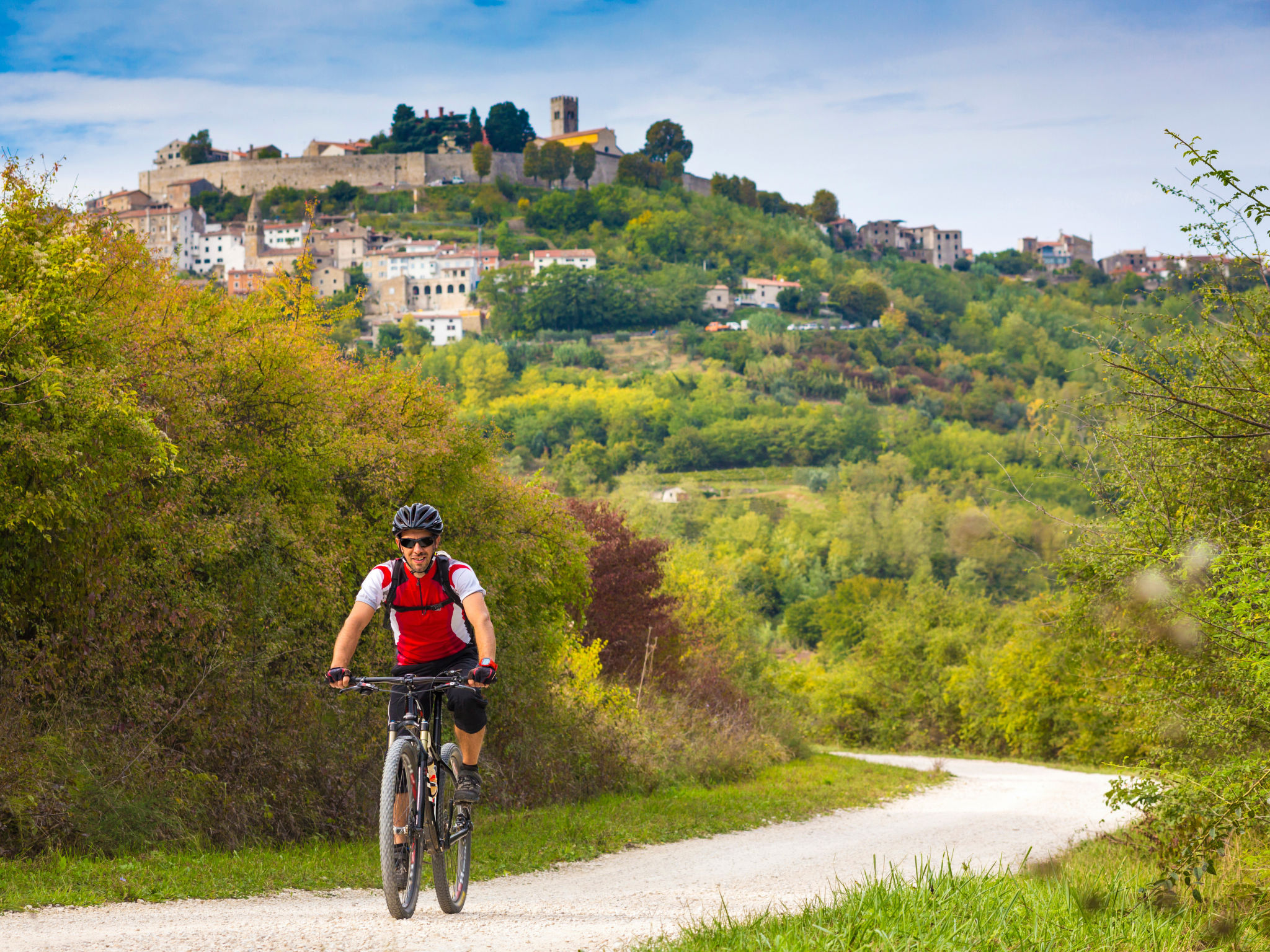 Villa Banic Motovun - Environnement