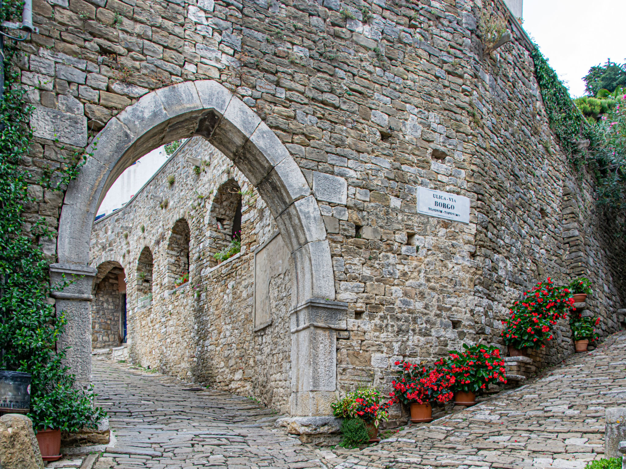 Villa Banic Motovun - Environnement