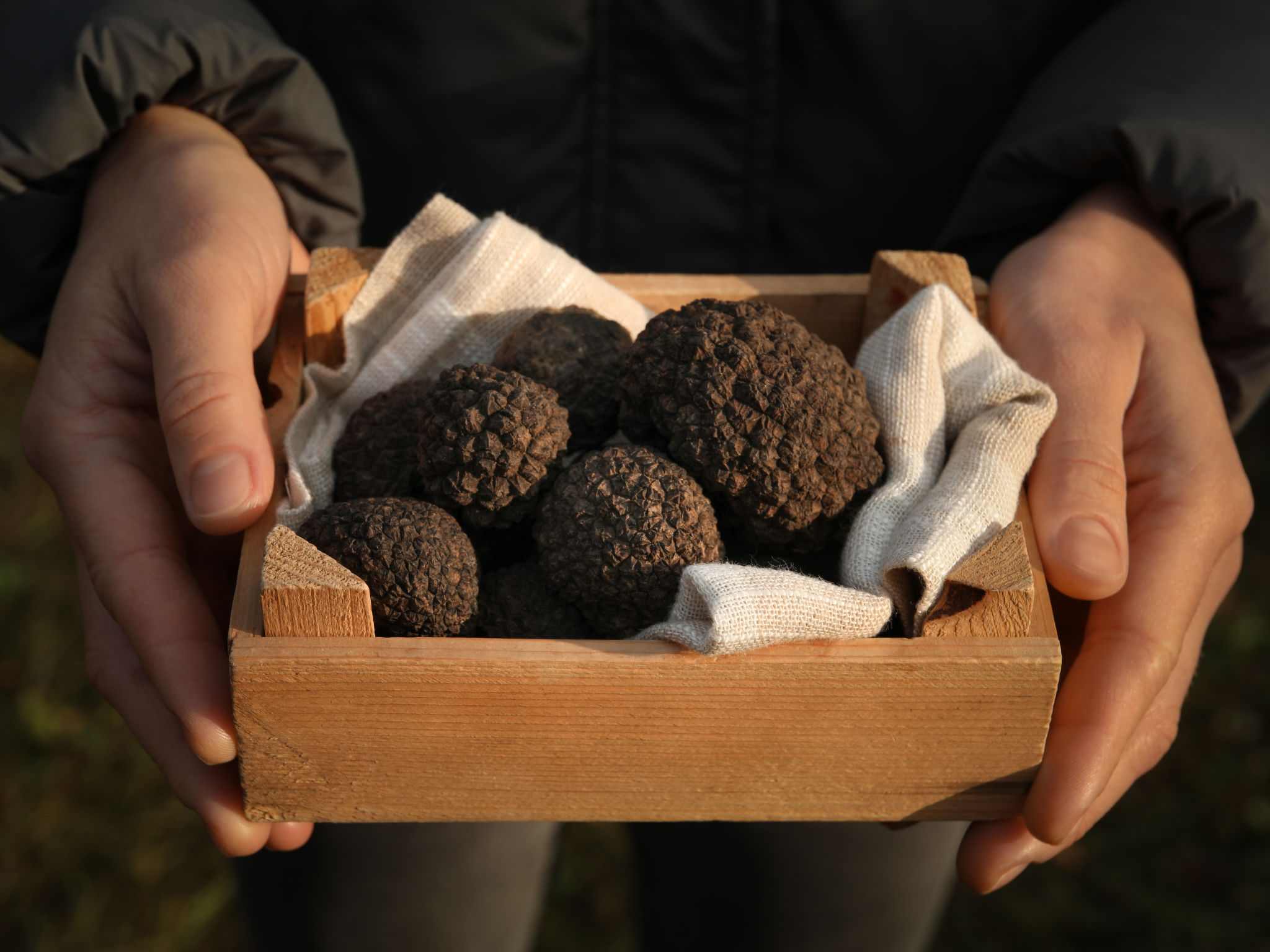 Steinhaus Kotli-Omgeving