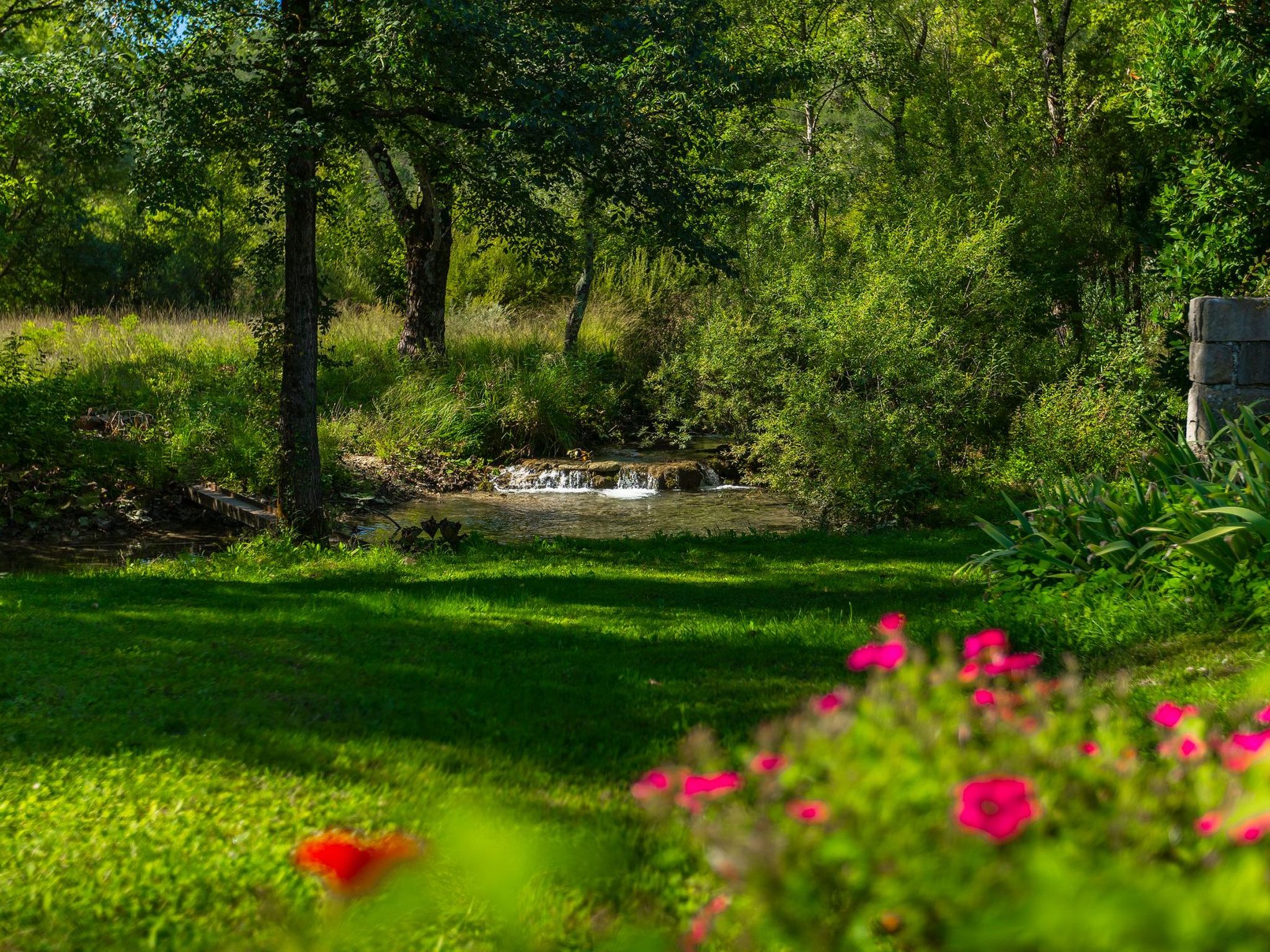 Villa Alte Mühle-Binnen