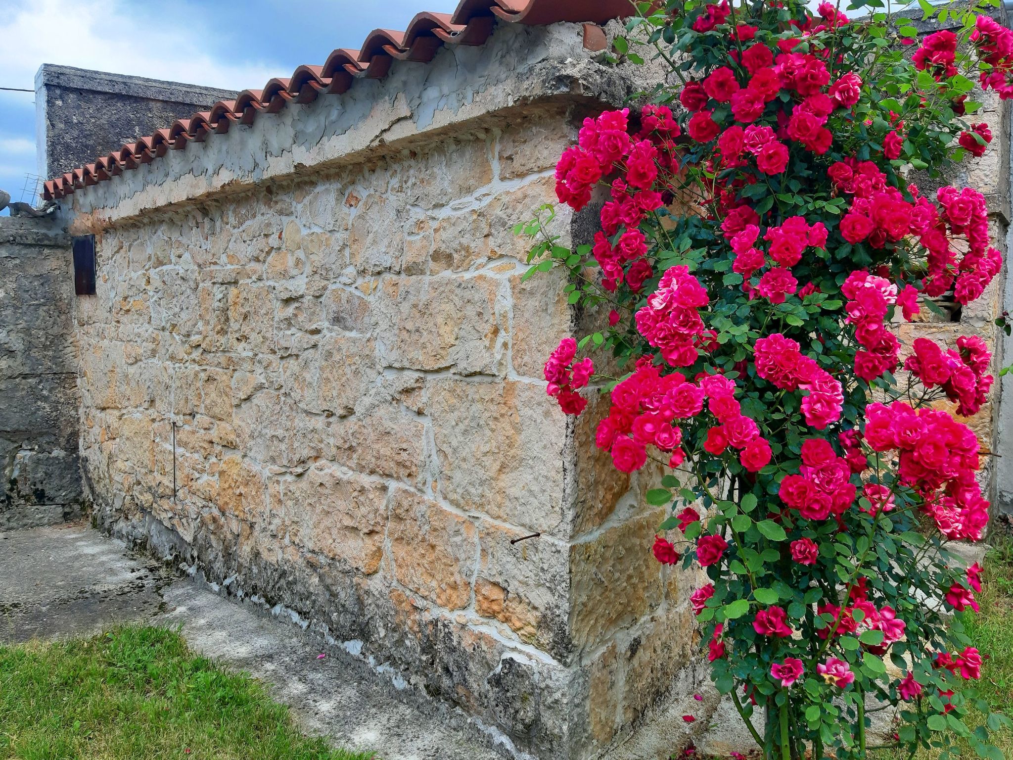 Romantische Villa mit weitläufigem Garten-Dedans