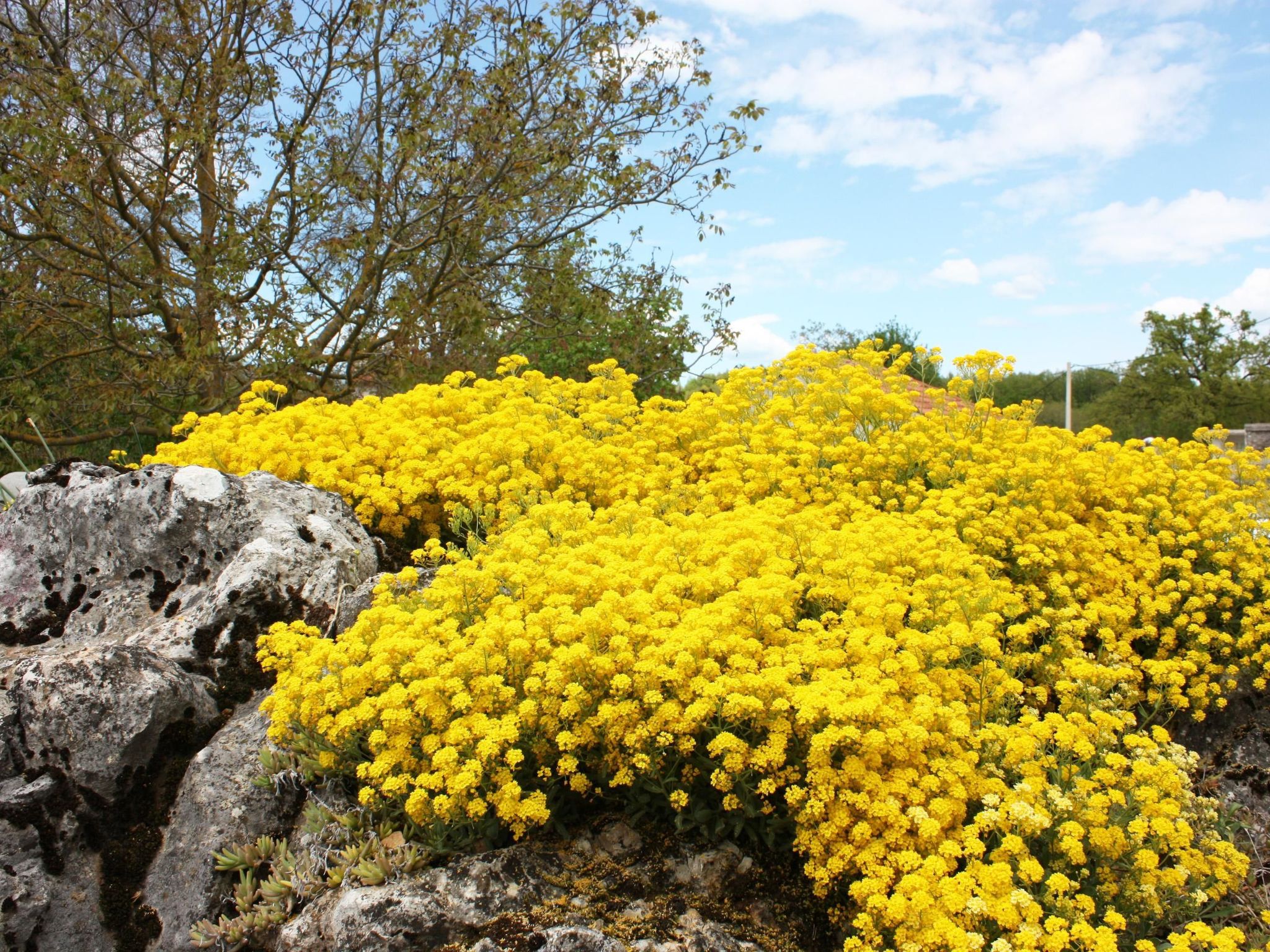 Romantische Villa mit weitläufigem Garten-Dedans