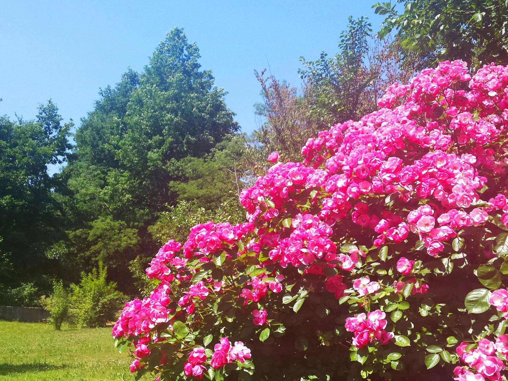 Romantische Villa mit weitläufigem Garten-Dedans
