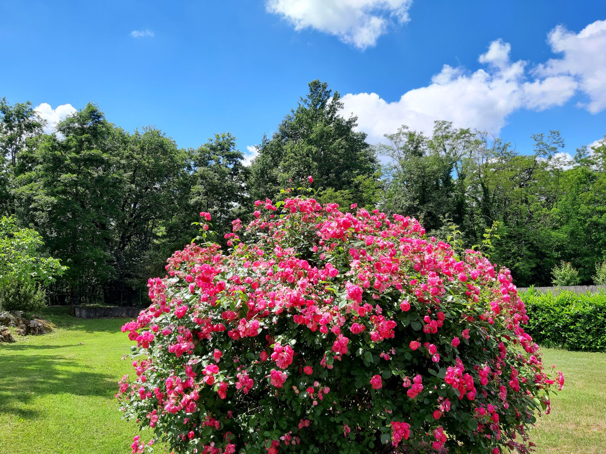 Romantische Villa mit weitläufigem Garten-Dedans