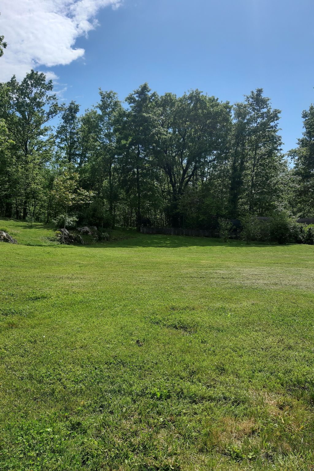 Romantische Villa mit weitläufigem Garten-Dedans