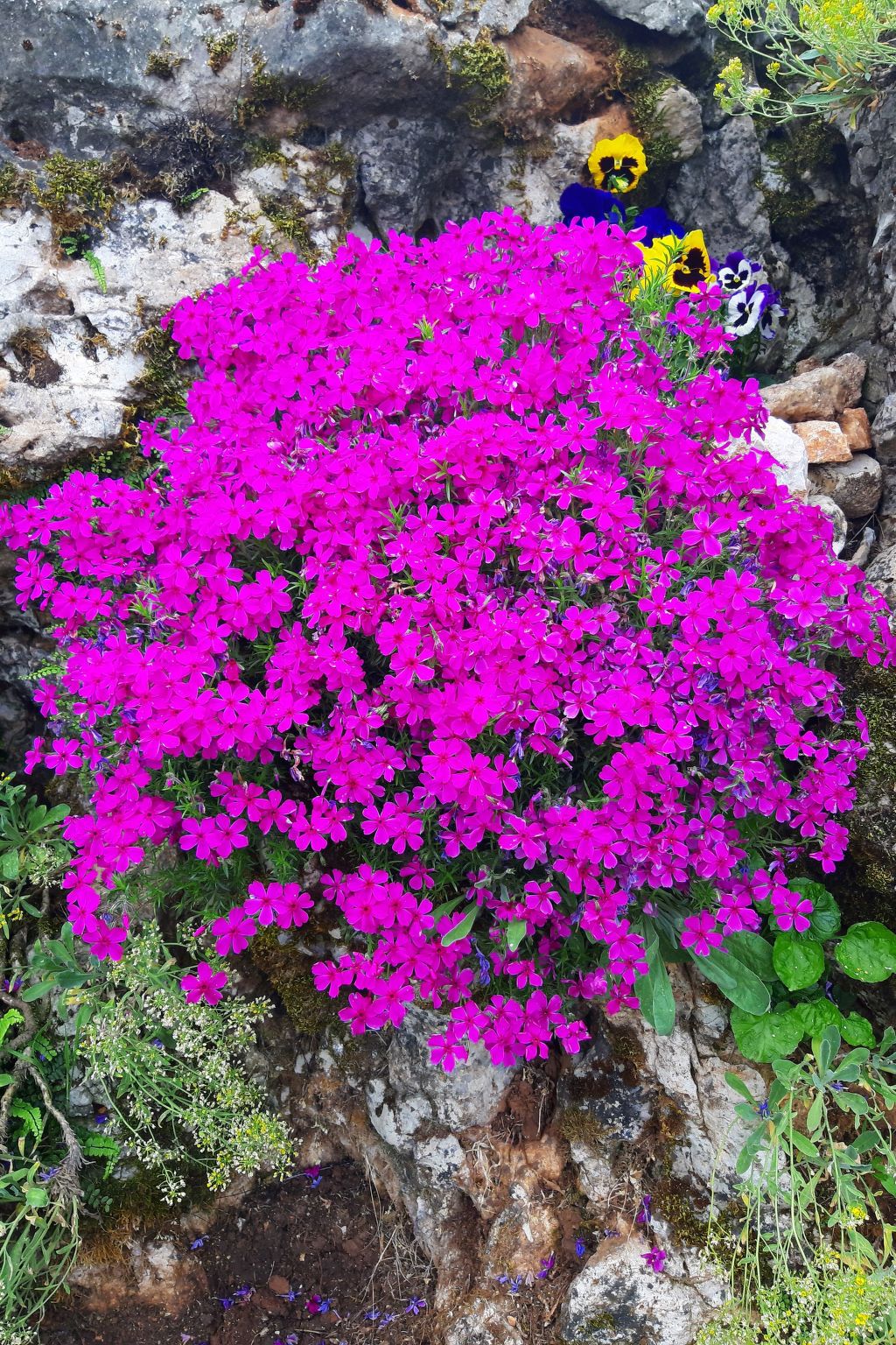 Romantische Villa mit weitläufigem Garten-Dedans