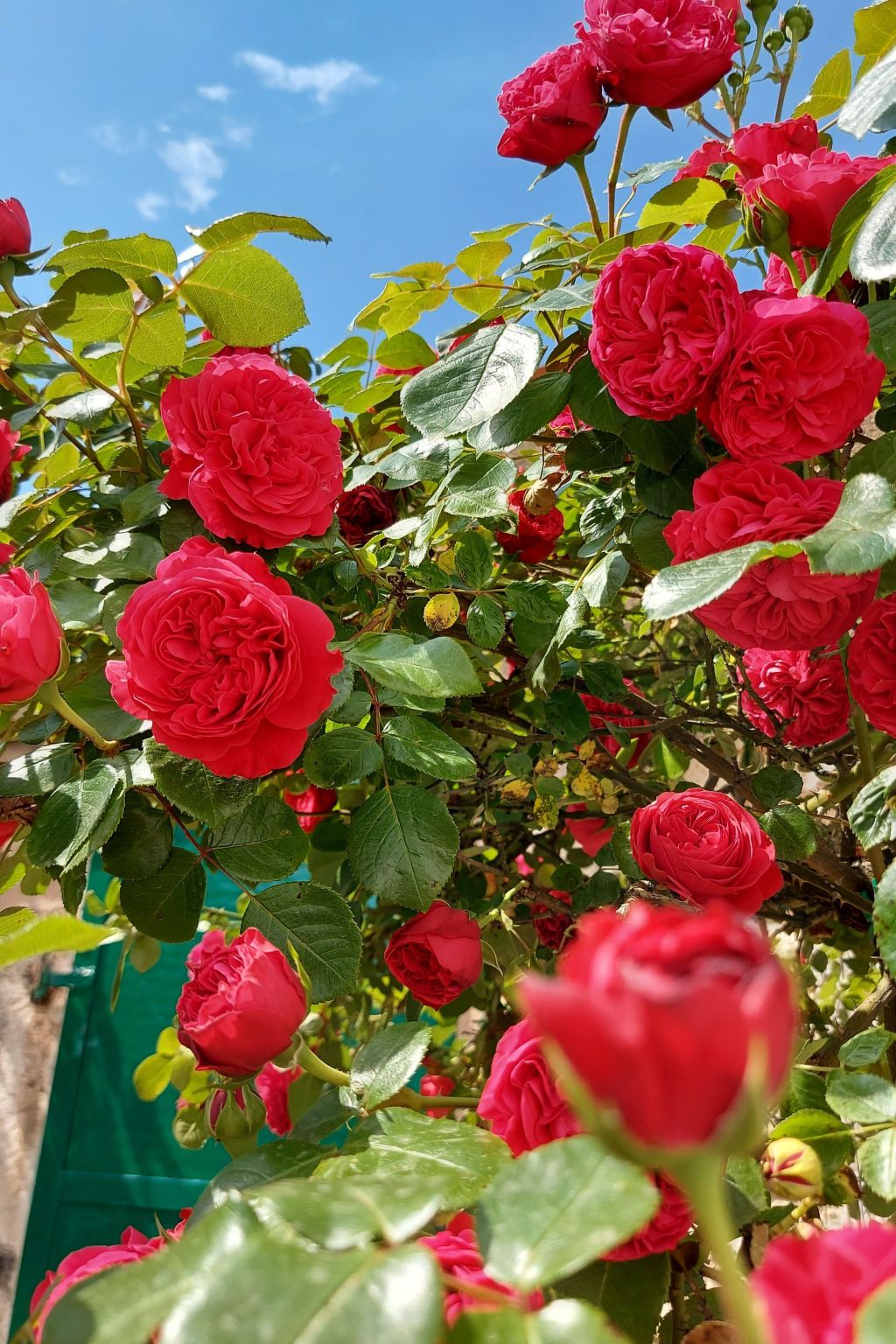 Romantische Villa mit weitläufigem Garten-Dedans