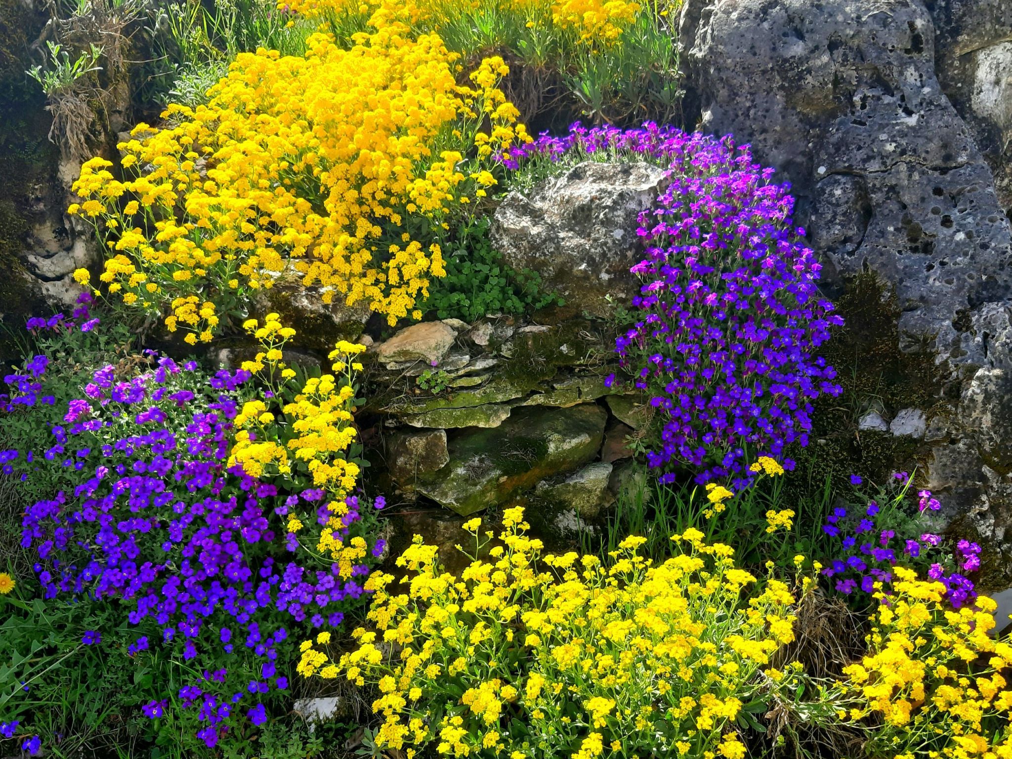 Romantische Villa mit weitläufigem Garten-Dedans
