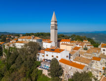 Horizonvilla met privézwembad en panoramisch uitzicht in Pićan, Istrië - thumbnail 2