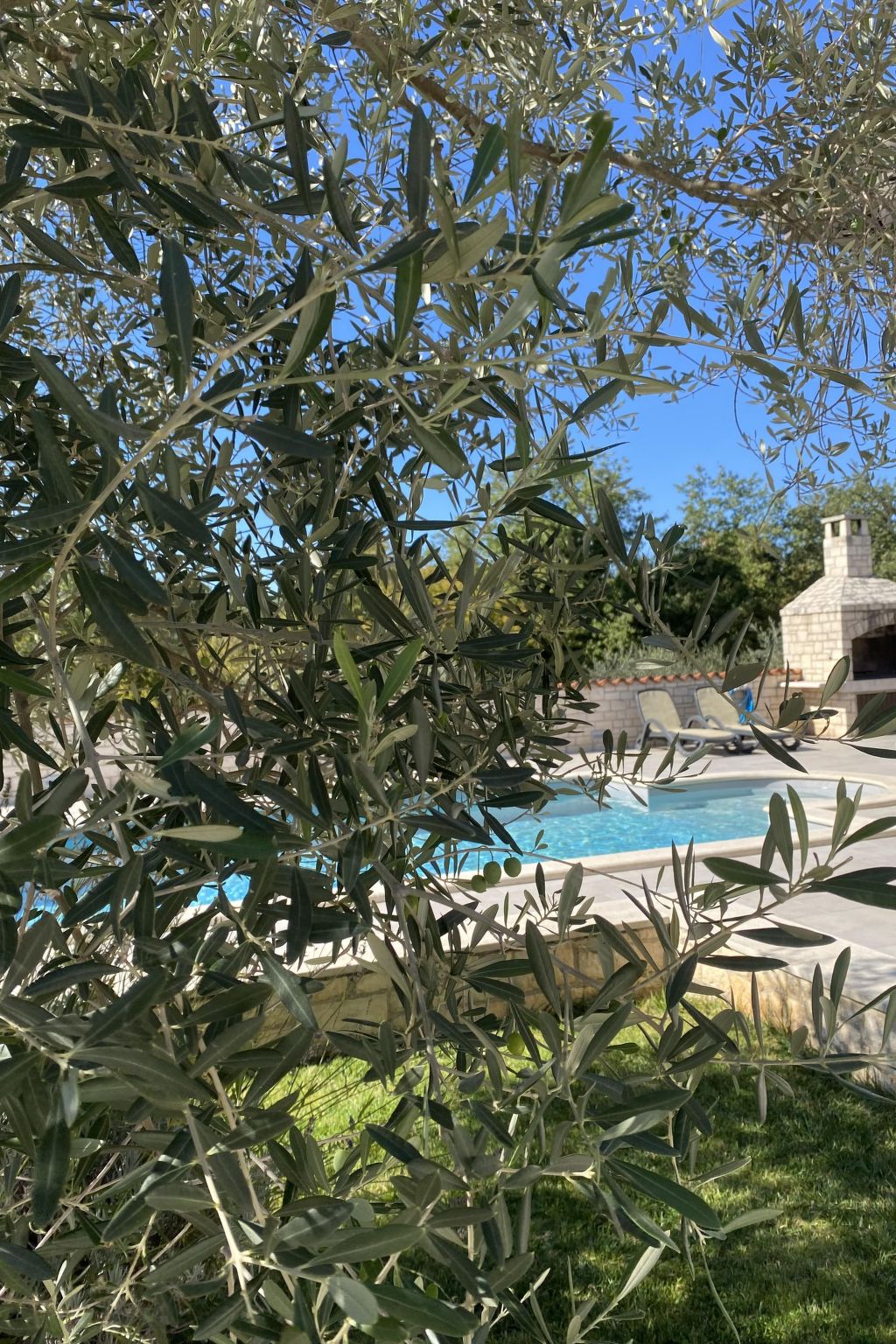 Villa Mali Raj-Image-tags.info