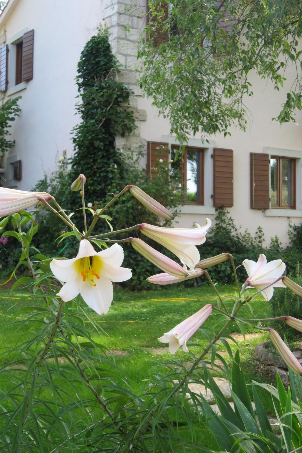 Casa Gaia Grande-Drinnen