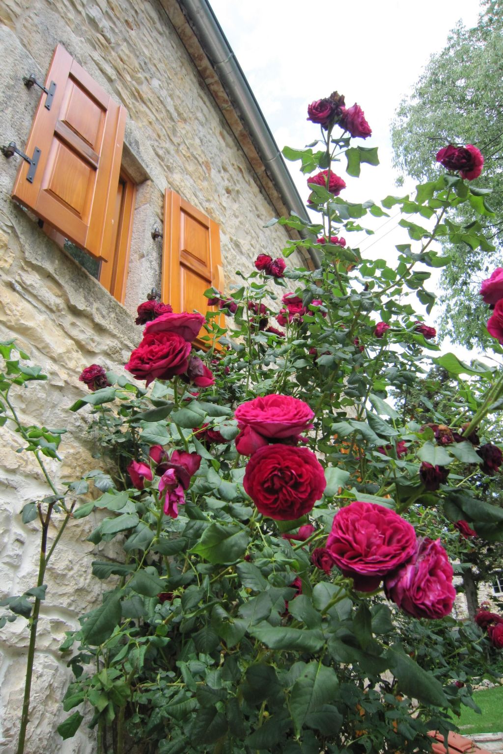 Casa Gaia Grande-Drinnen