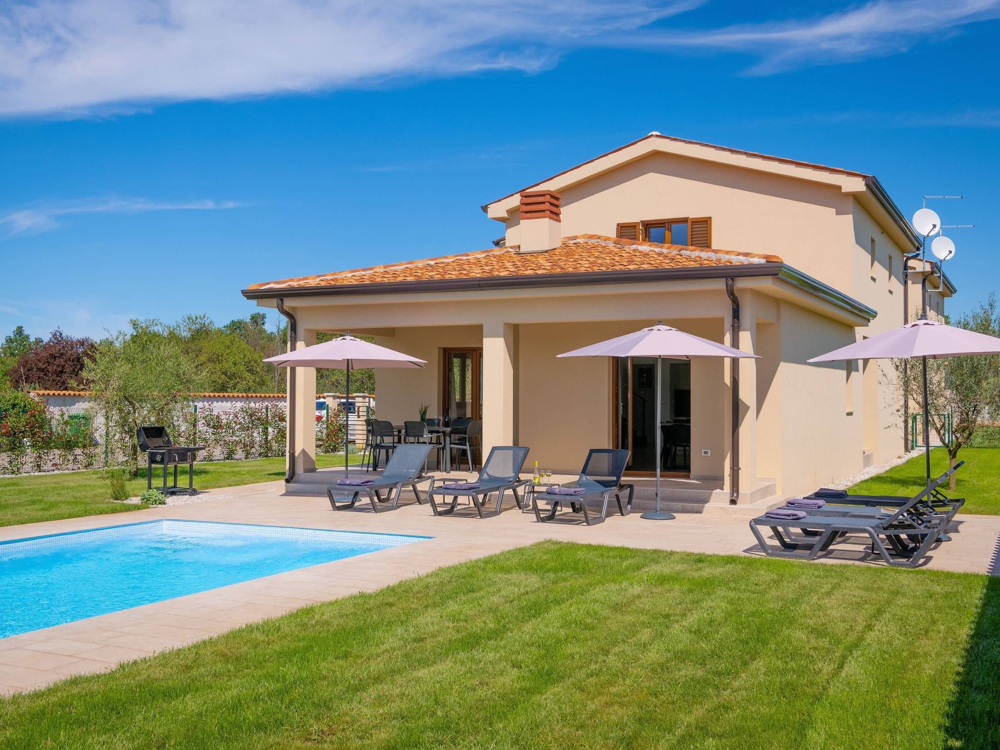 Luca-Image-tags.info