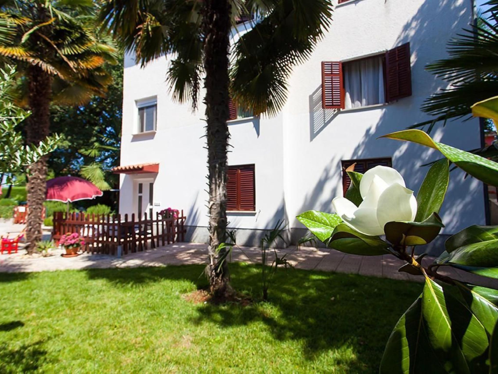 Oliveto-Image-tags.info