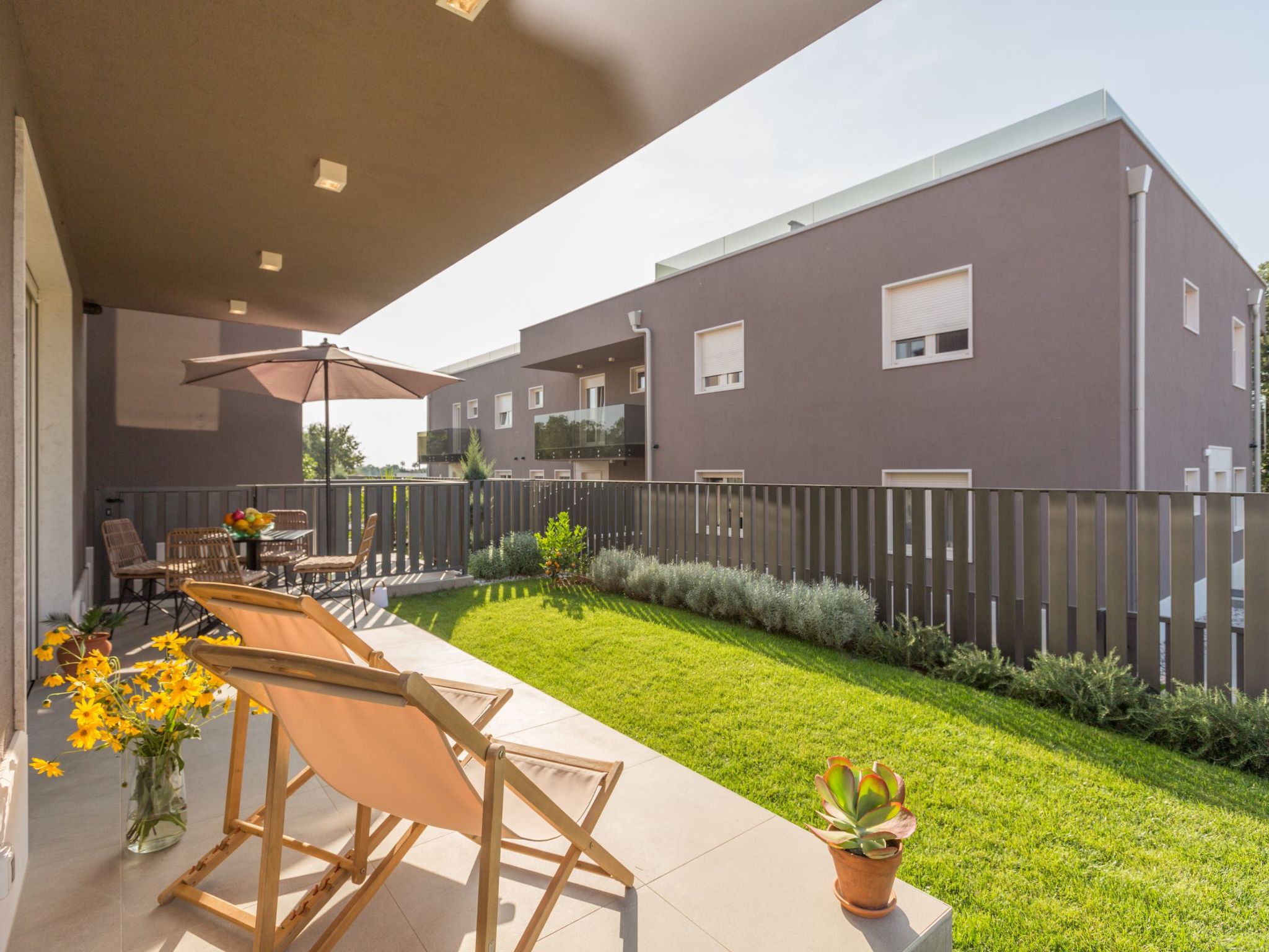 Photo of Lemon 3 Premium