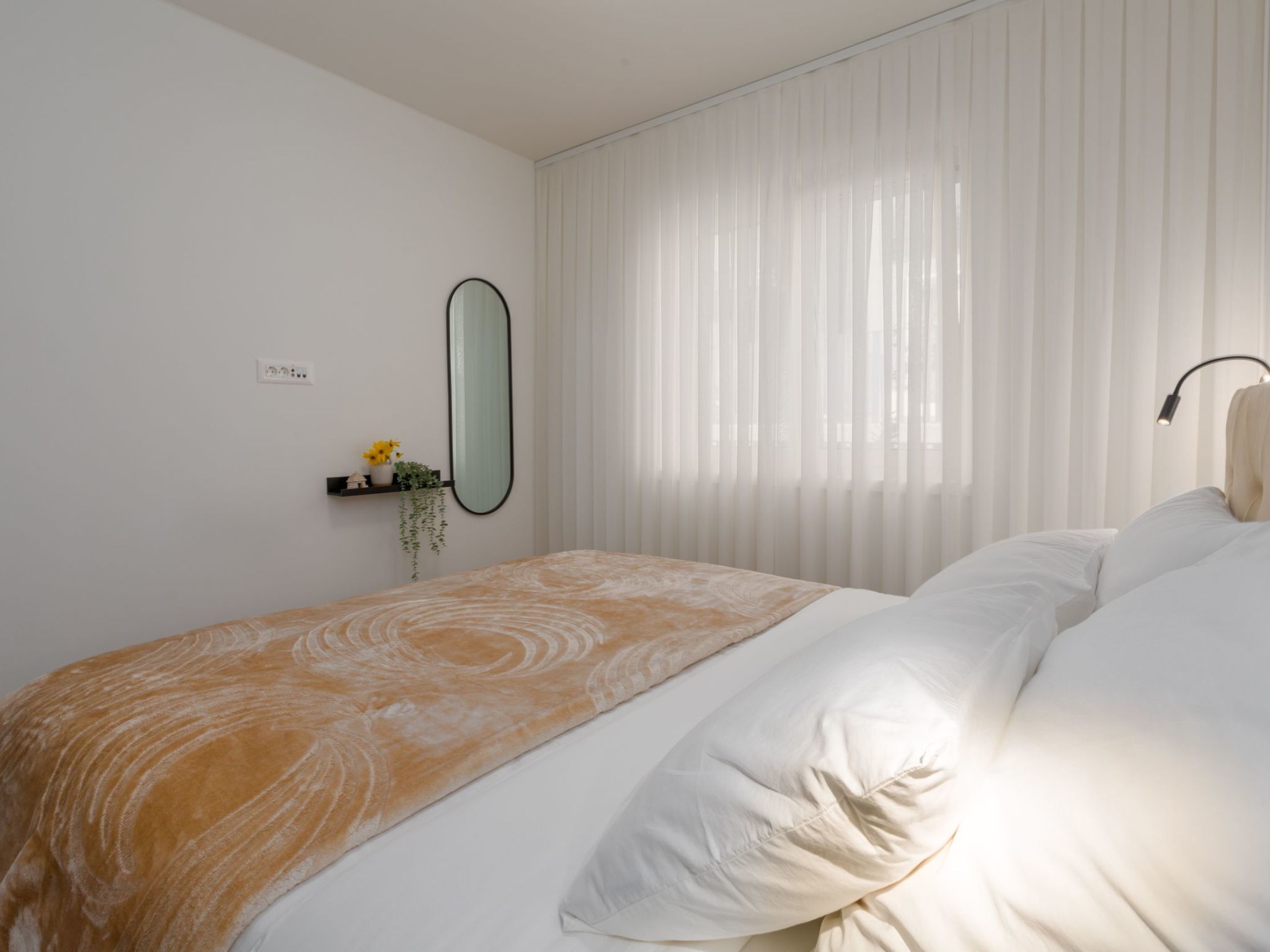 Photo of Lemon 3 Premium