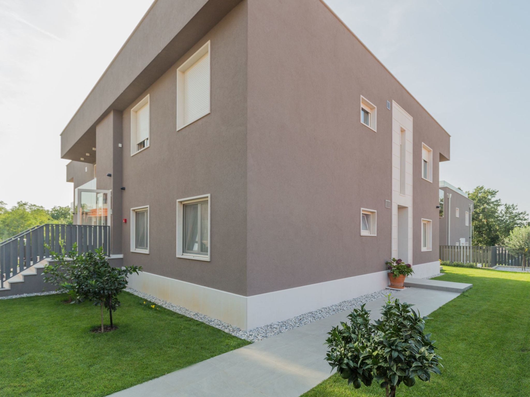 Photo of Lemon 3 Premium