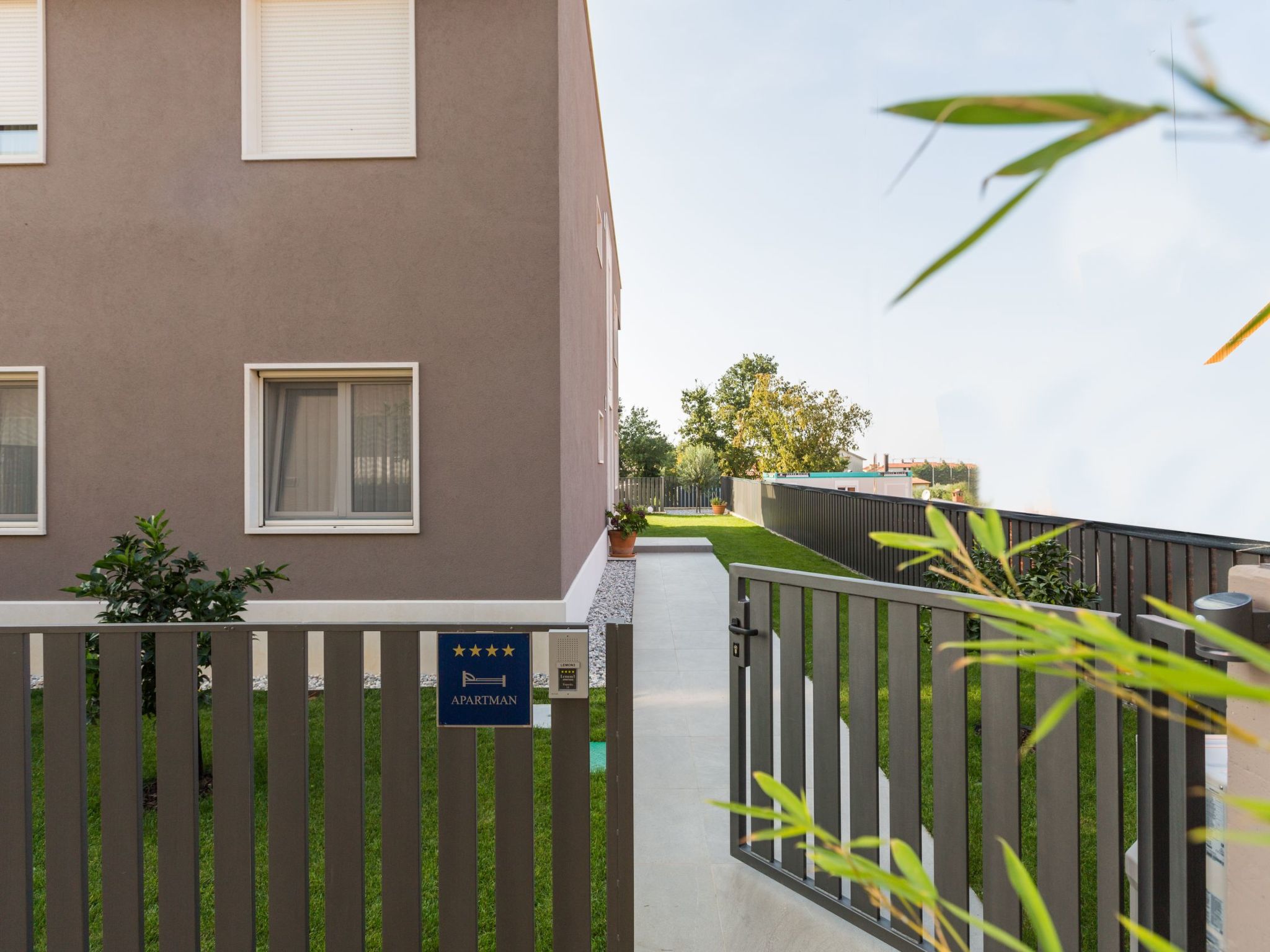 Photo of Lemon 3 Premium