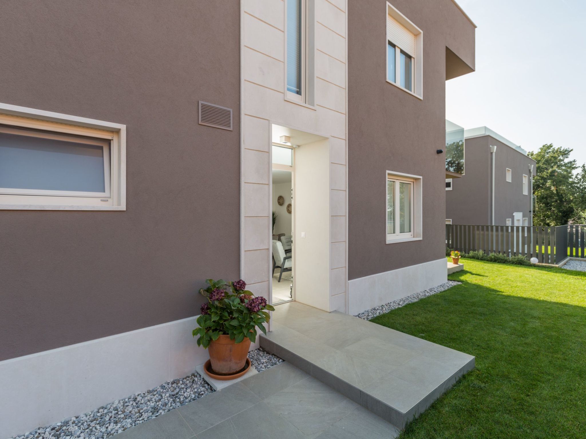 Photo of Lemon 3 Premium