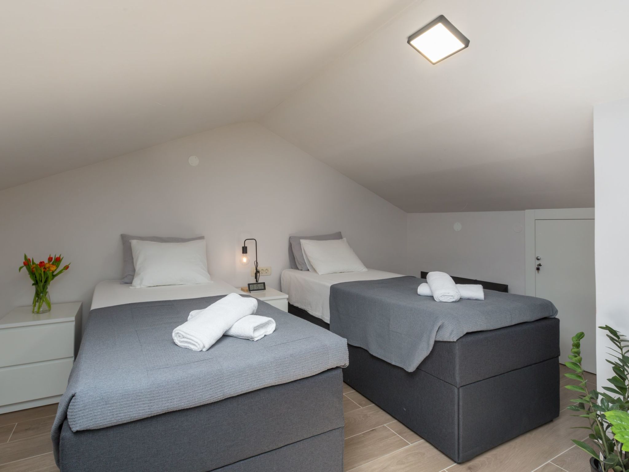 Photo of Luka Premium