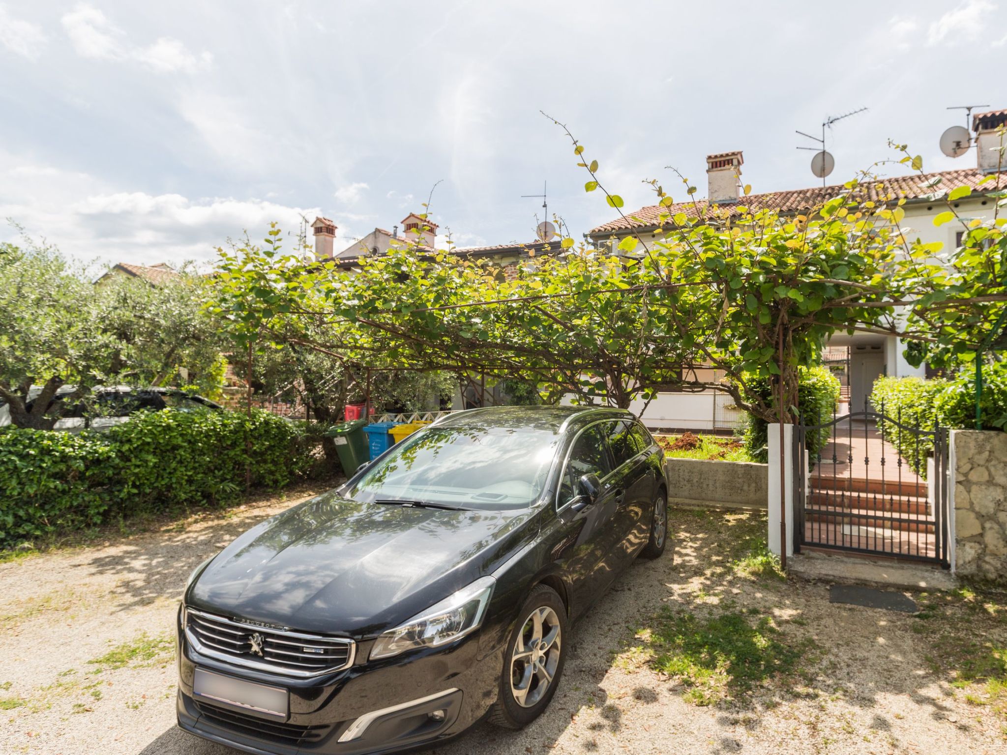 Photo of Luka Premium