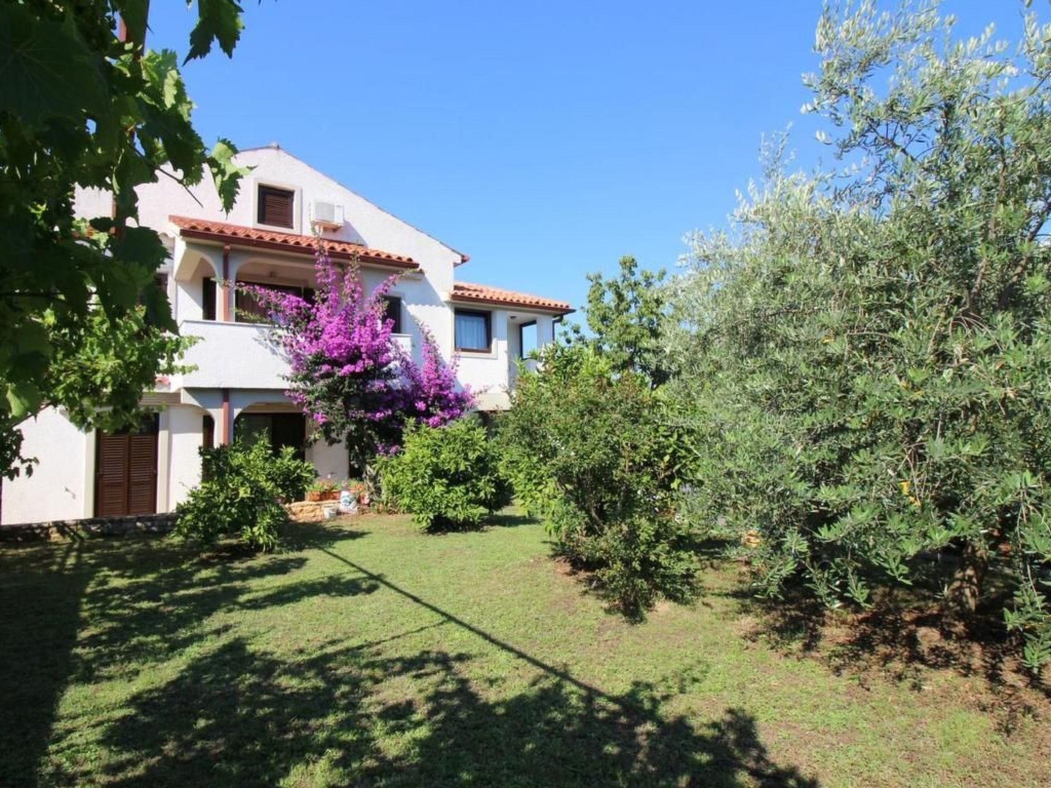 Photo of Samara B4/2N