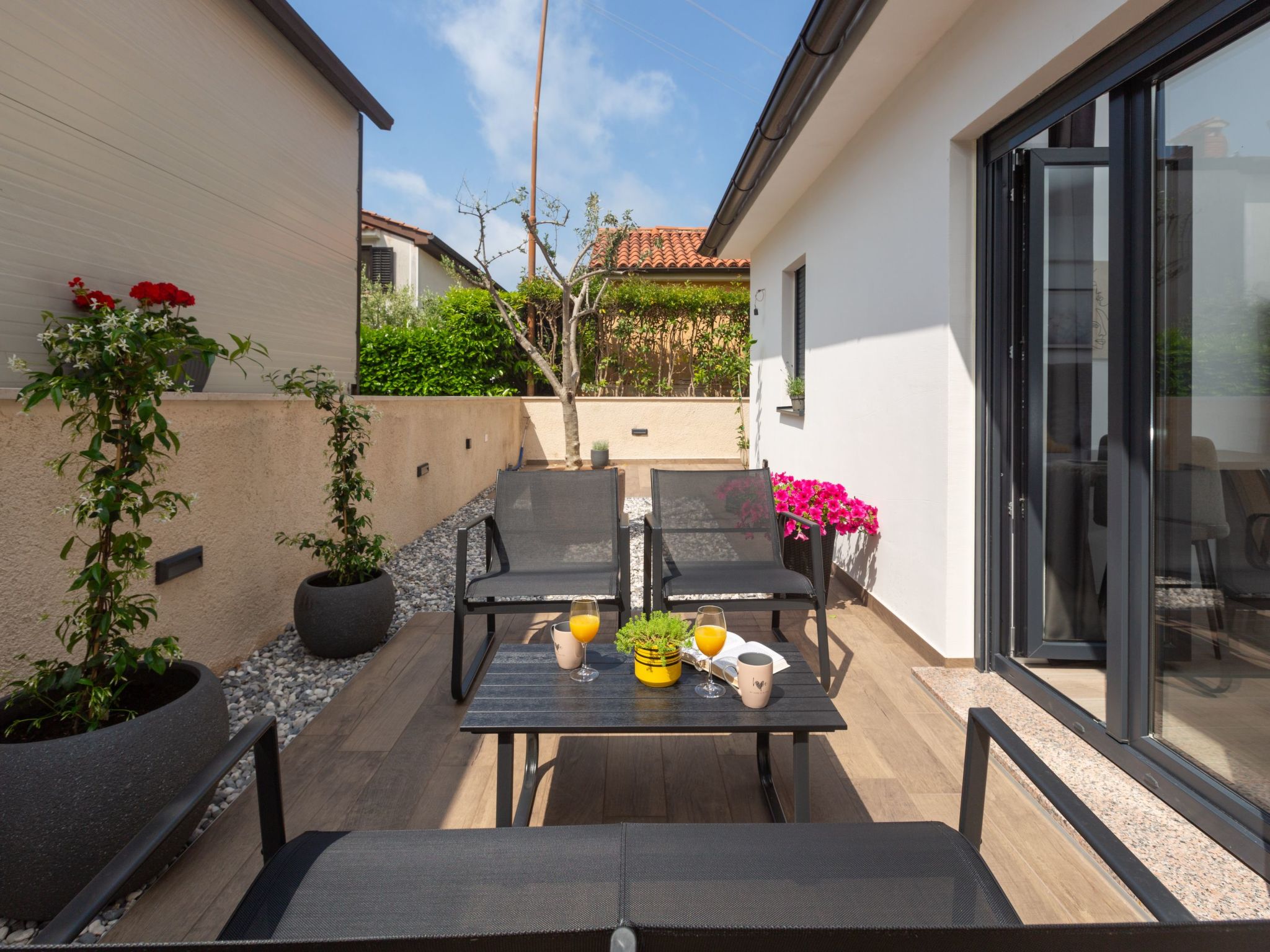 Photo of Olive Premium