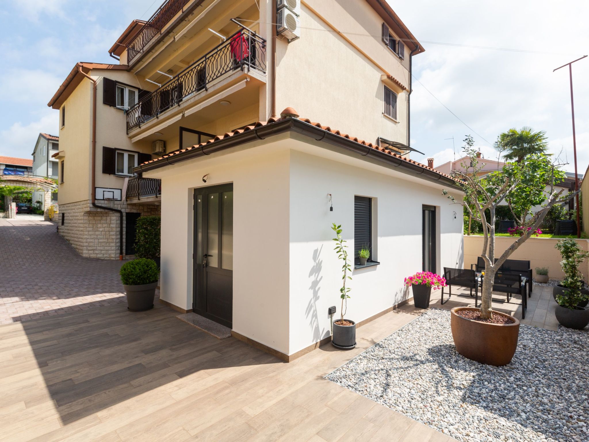 Photo of Olive Premium