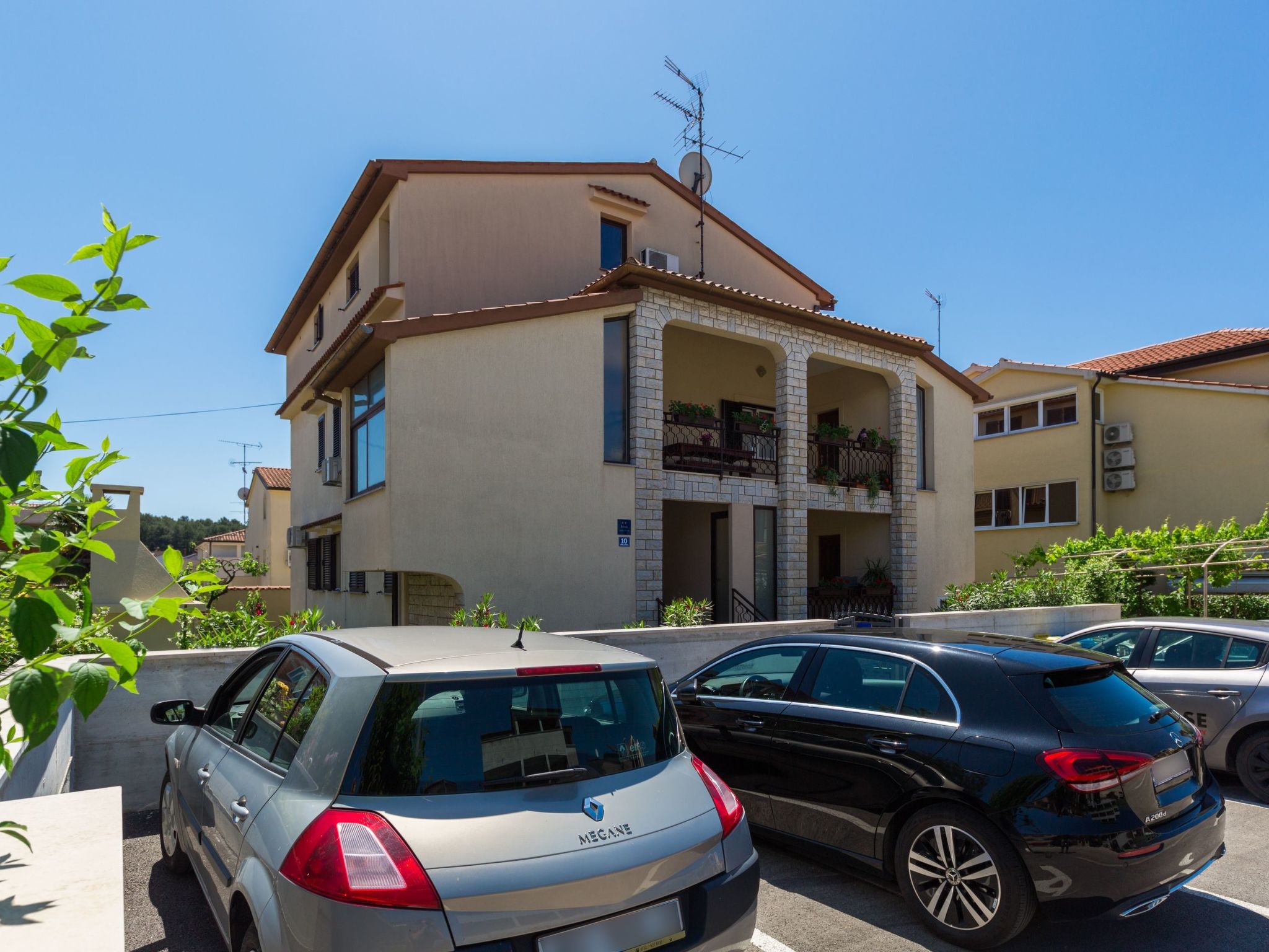 Photo of Olive Premium