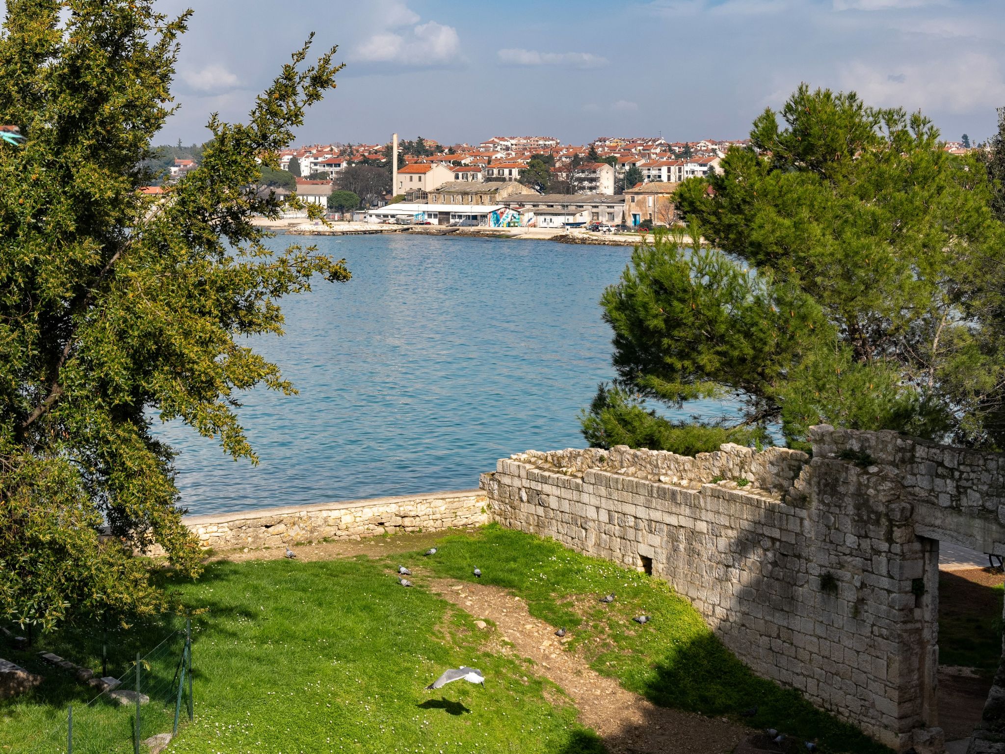 Photo of Piazzetta Premium