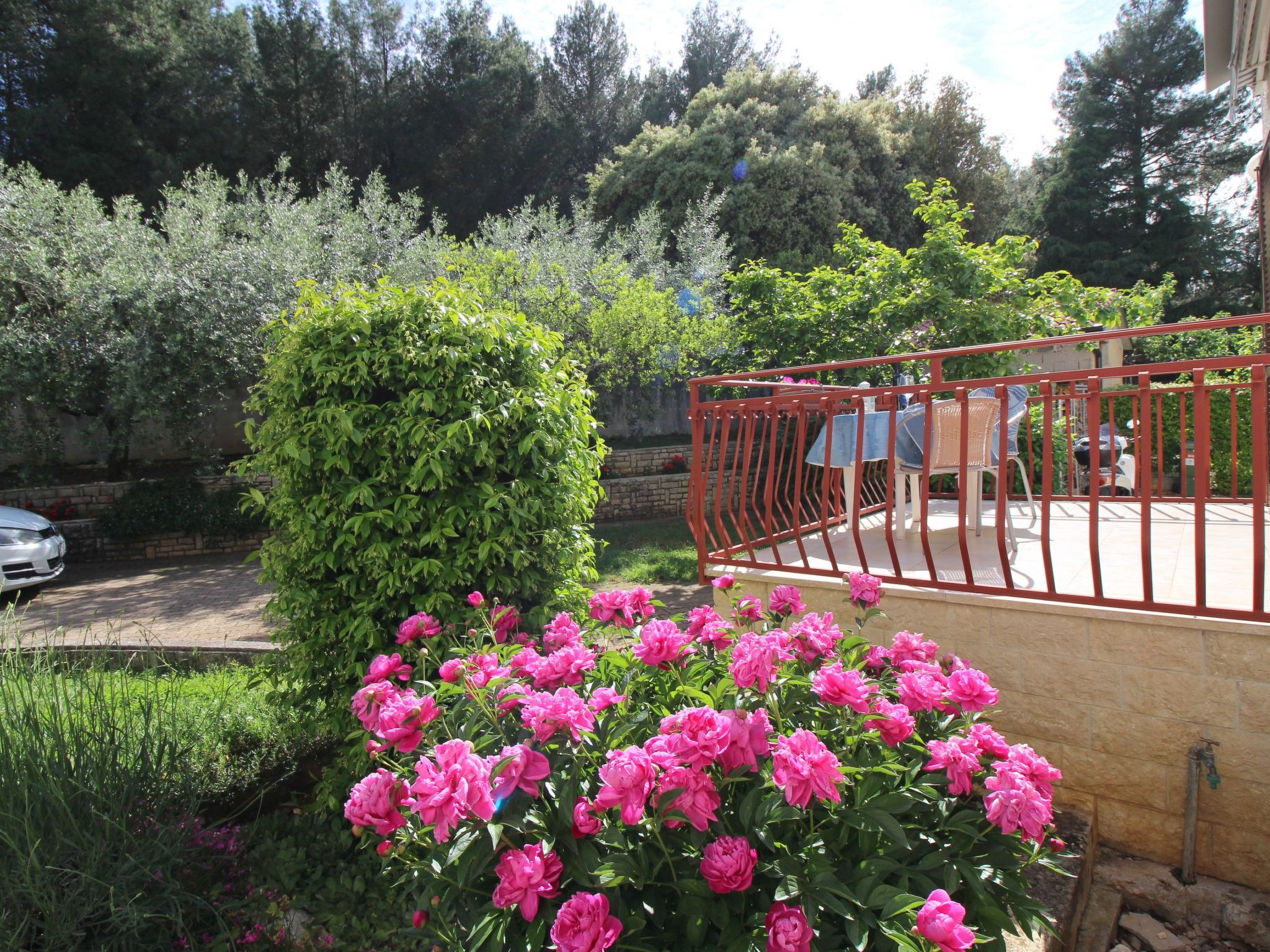 Photo of Apartment Ema