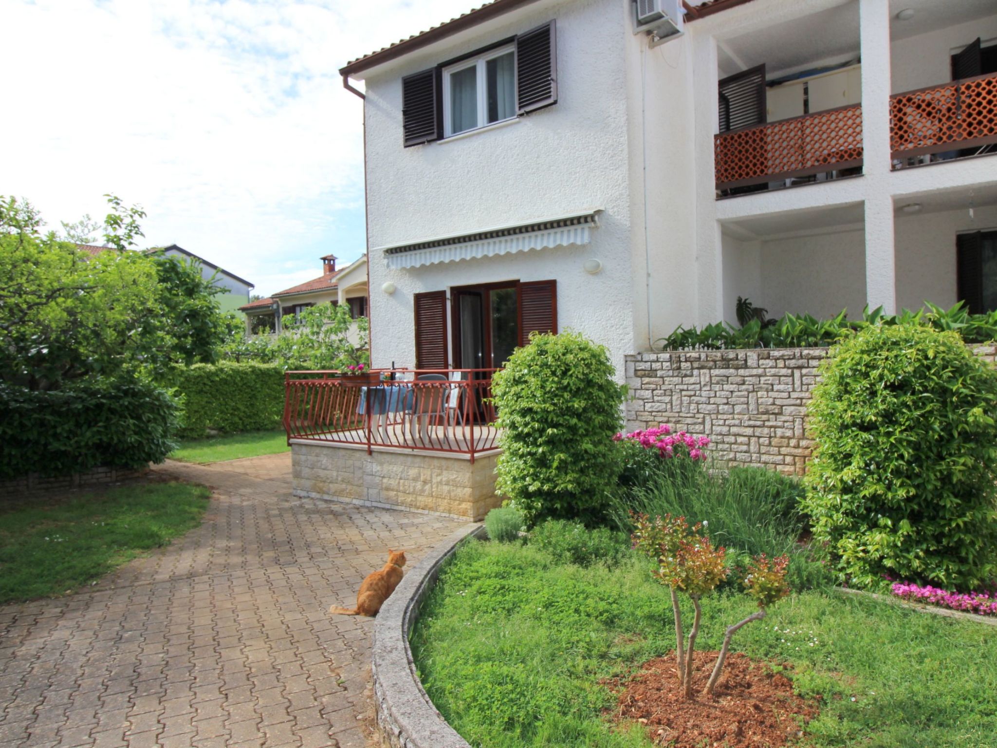 Photo of Apartment Ema