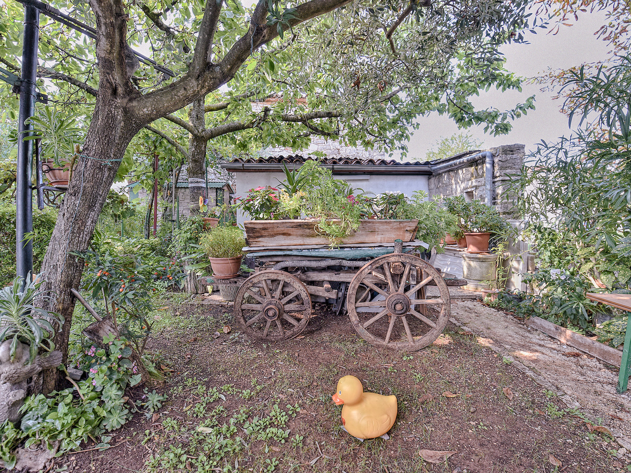 Photo of Apartment 358