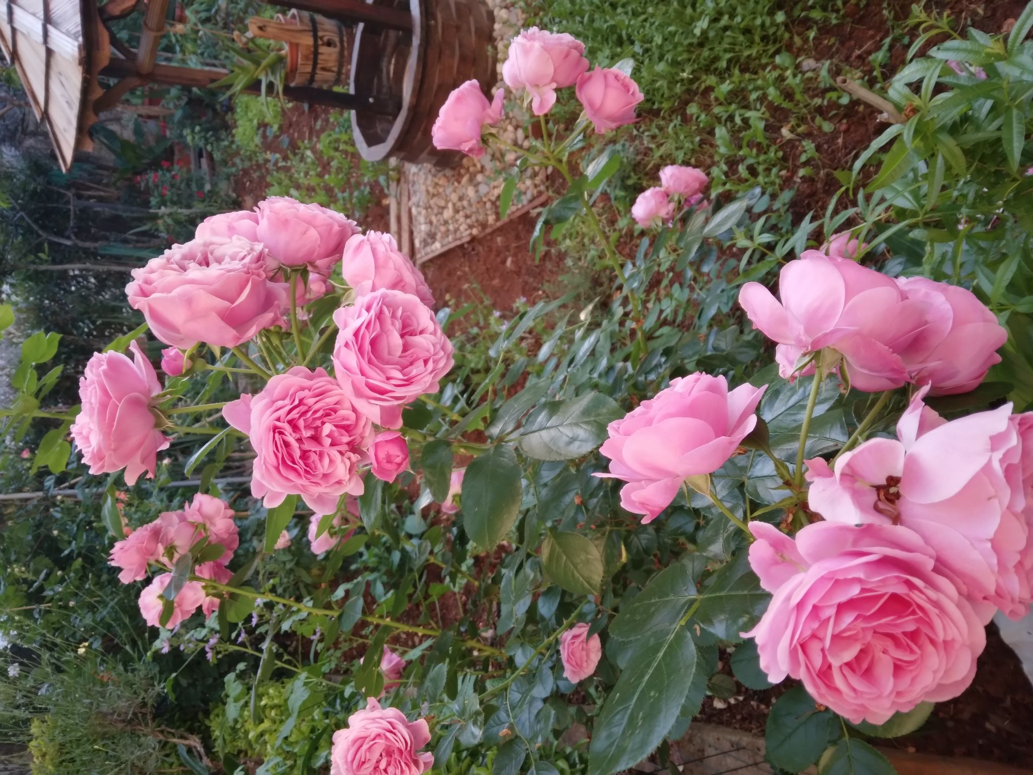 Photo of Apartment 358