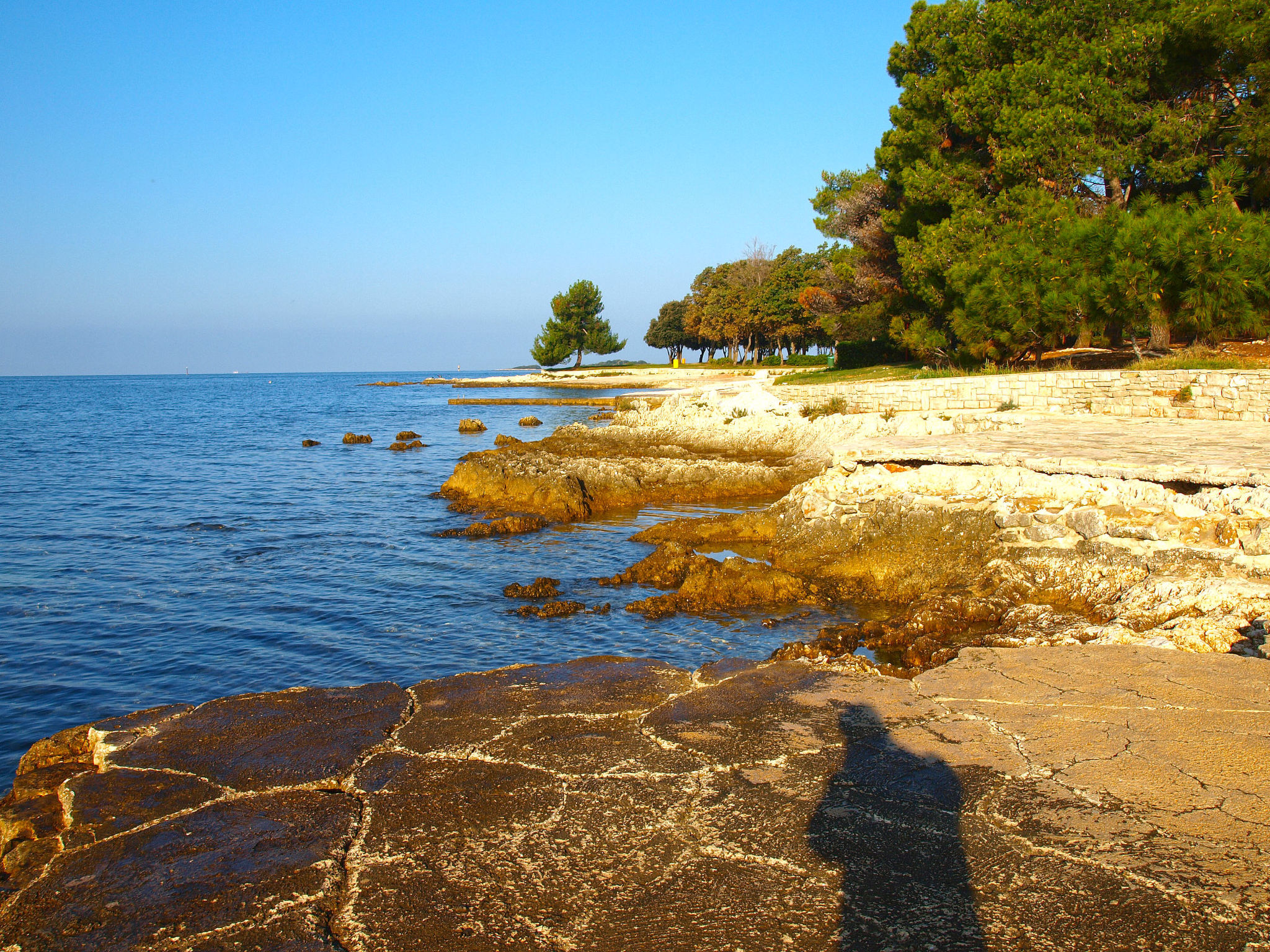 Photo of Apartment 2074