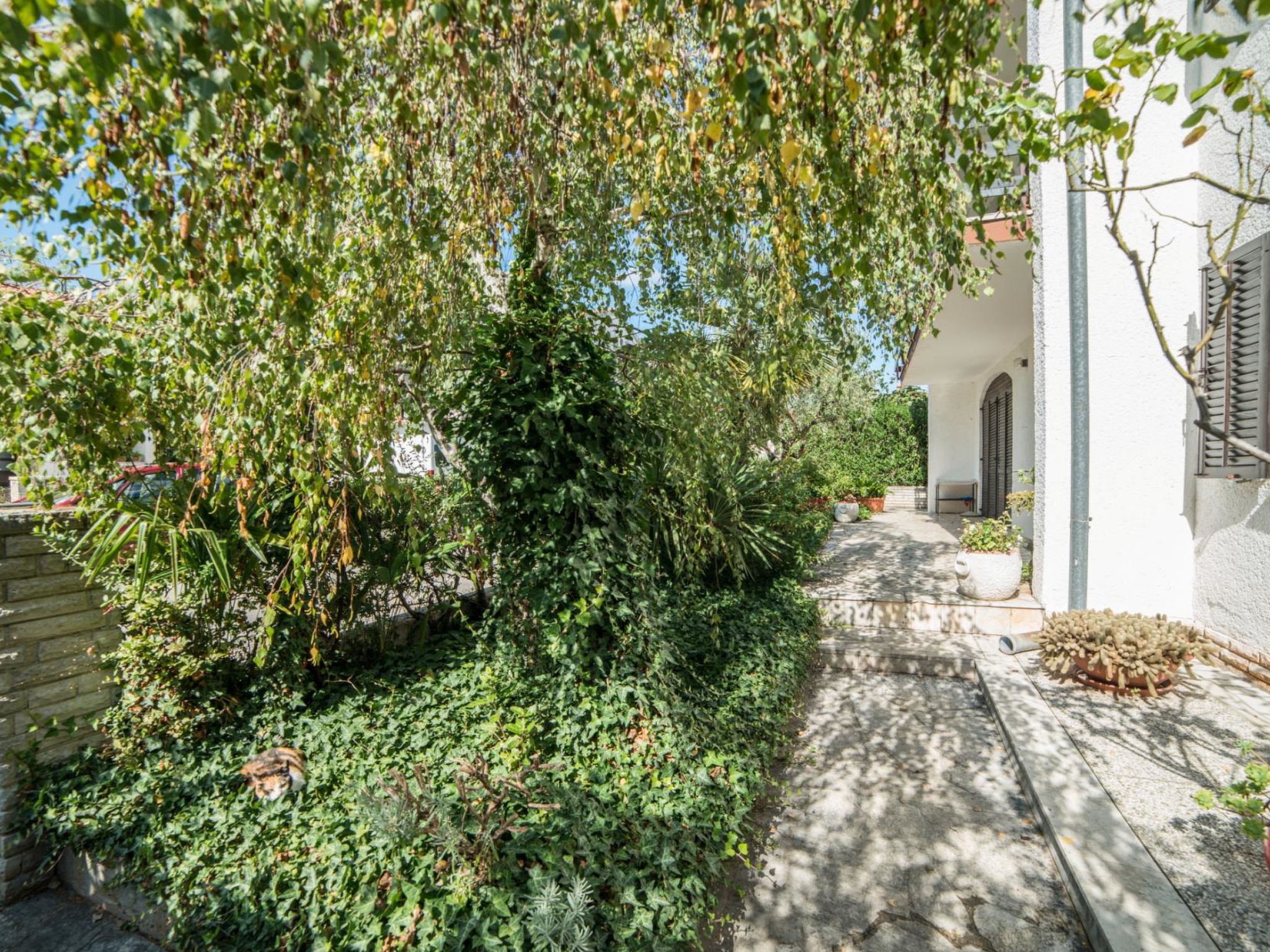 Photo of Apartment 793