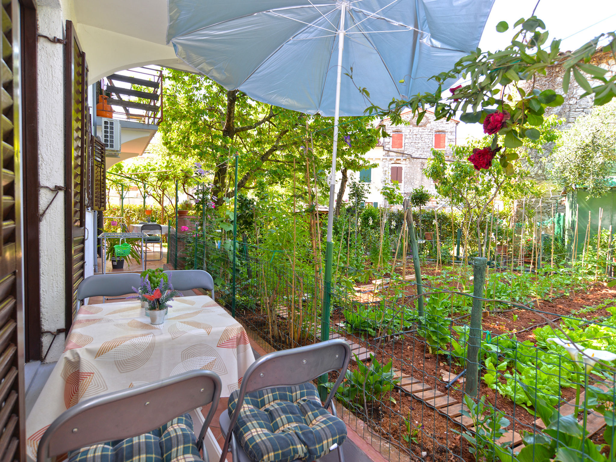 Photo of Apartment 358