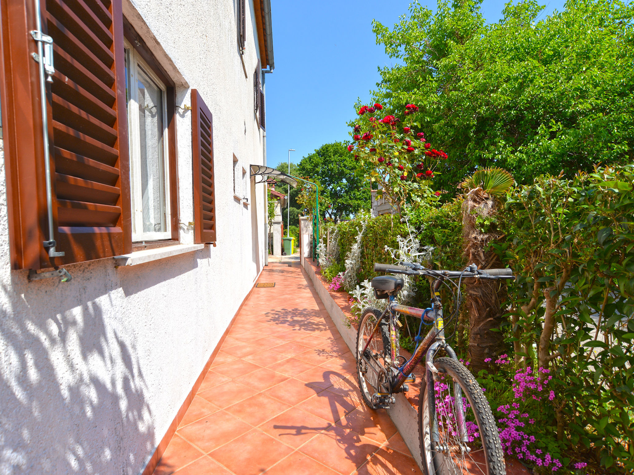 Photo of Apartment 358